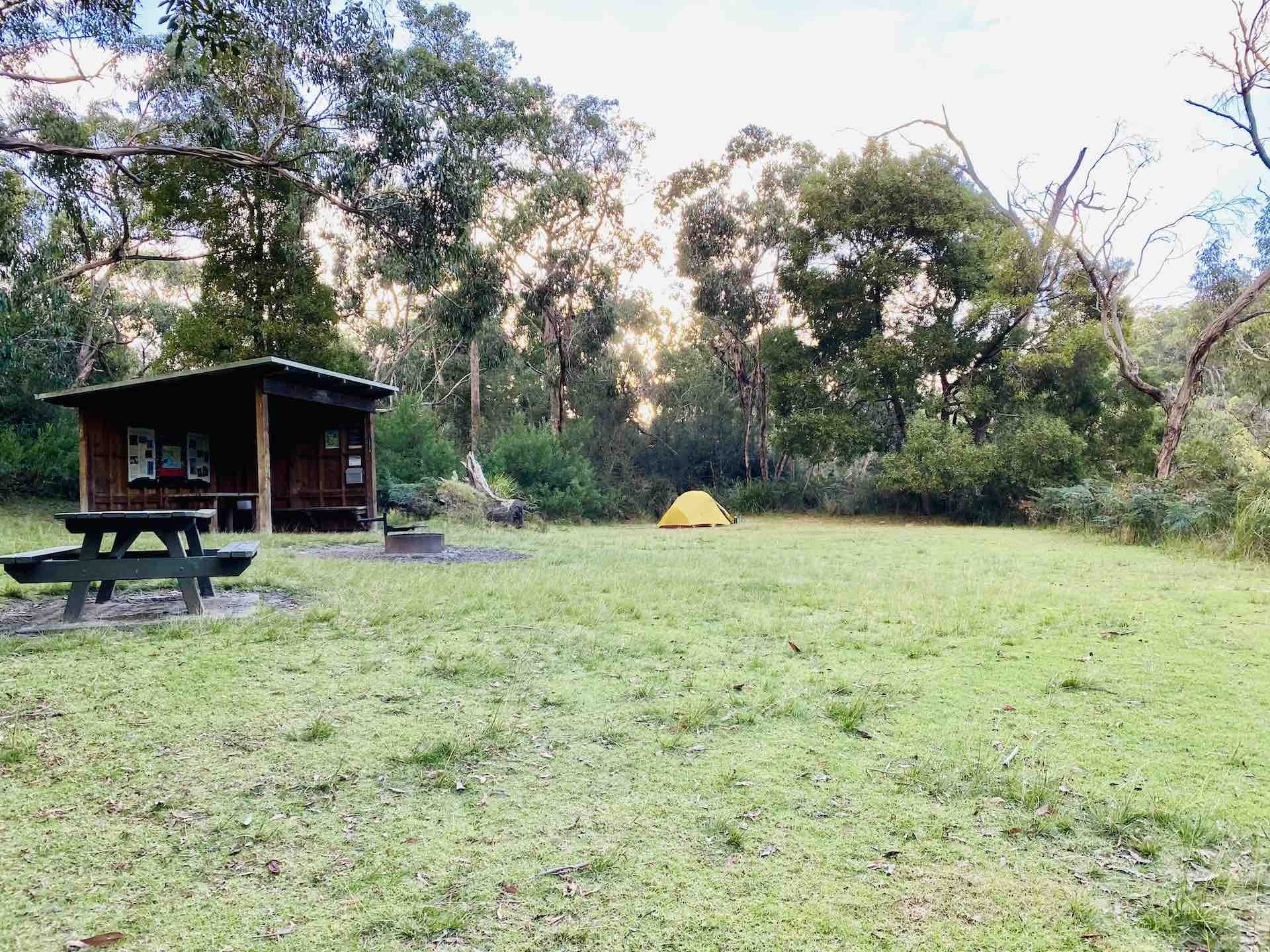 A 3 Day Snippet of The Great South West Walk on Gunditjmara Country, Emily Scott