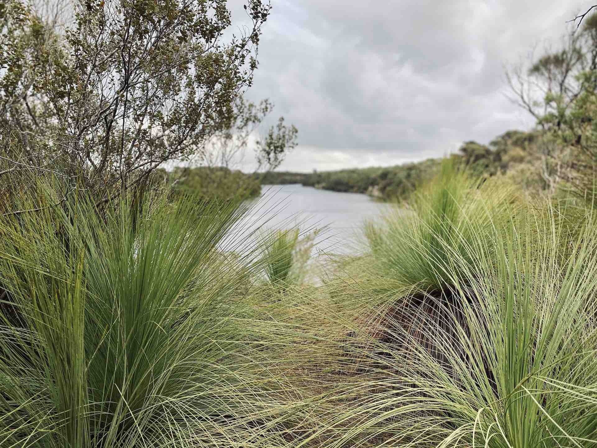 A 3 Day Snippet of The Great South West Walk on Gunditjmara Country, Emily Scott