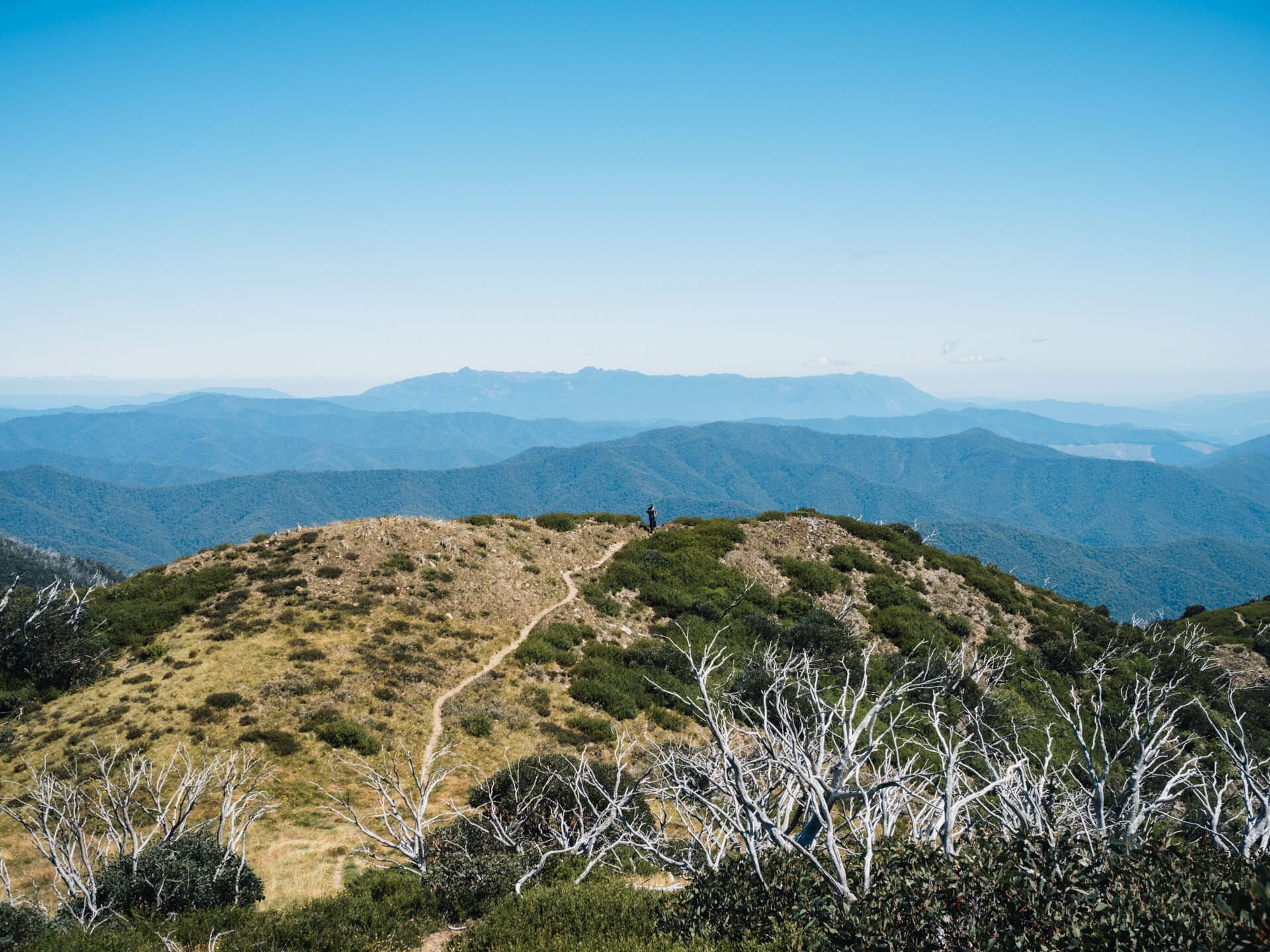 Hiking Mount Feathertop via Northwest Spur in Alpine National Park - Elisha Donkin - The steep climb with views in every direction