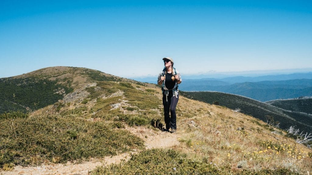 Hiking Mount Feathertop via Northwest Spur in Alpine National Park - Elisha Donkin - The final section on the Northwest Spur - -Hiking Mount Feathertop via Northwest Spur in Alpine National Park)