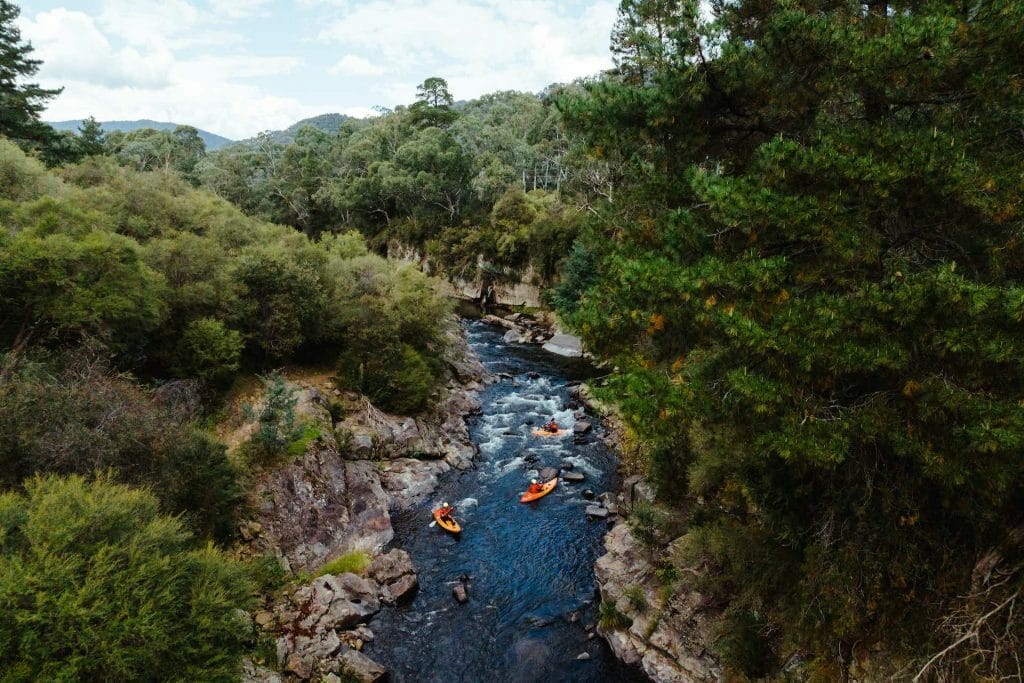 Victoria's High Country Bursts With Adventure All Year Round, Ben Savage, aerial shot, river, kayak, friends, forest