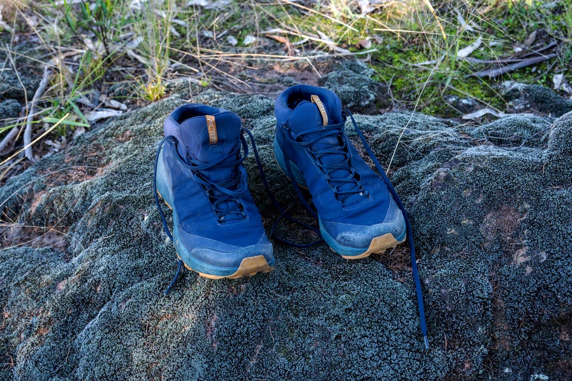 Arcteryx hiking outlet shoe