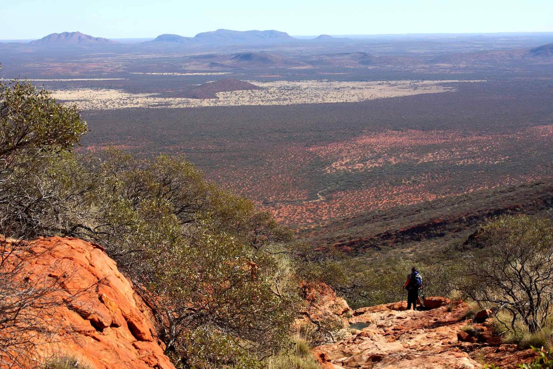 Mt Augustus: A Guide to The Summit Trail of the Biggest Rock in The World, jane pelusey, walk, person, rock