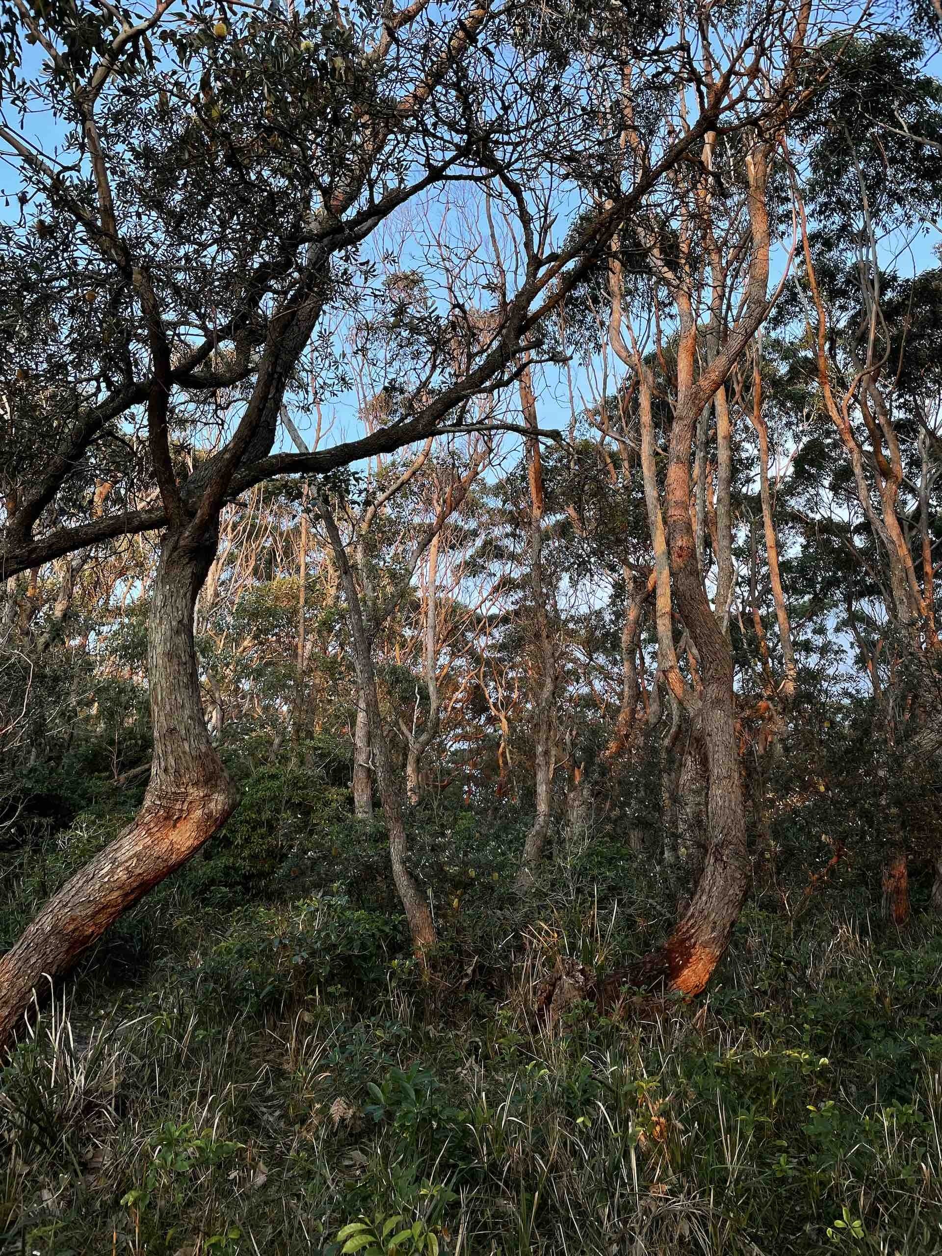 Termeil Point: A Guide to Visiting This Idyllic NSW South Coast CampgroundEva Davis-Boermans