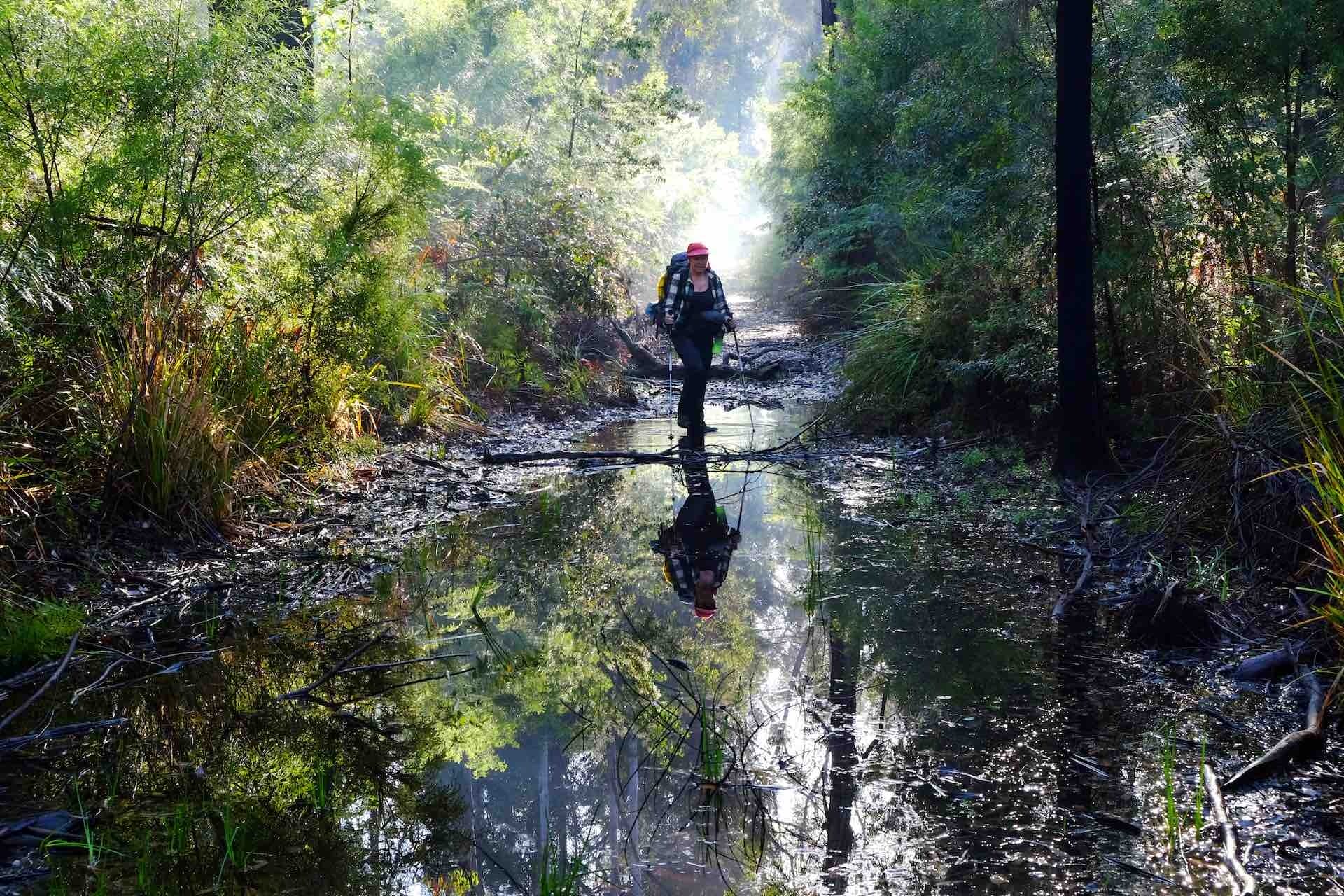 From Nurse to Trail Assessor: A Journey Taken One Step at a Time, Jane Pulsey