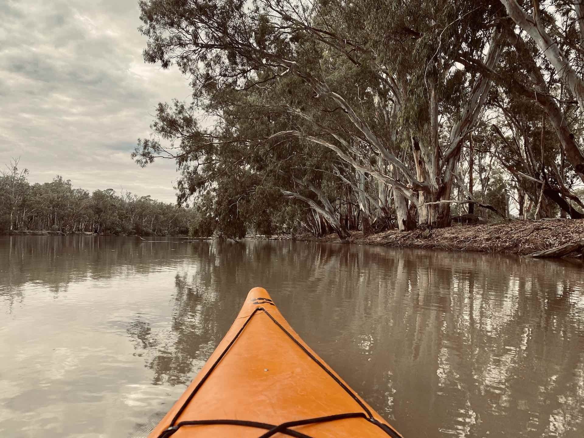 Murray River Kayaking – A Warm and Lazy Overnight Loop Paddle for One, Emily Scott, bow of kayak, river