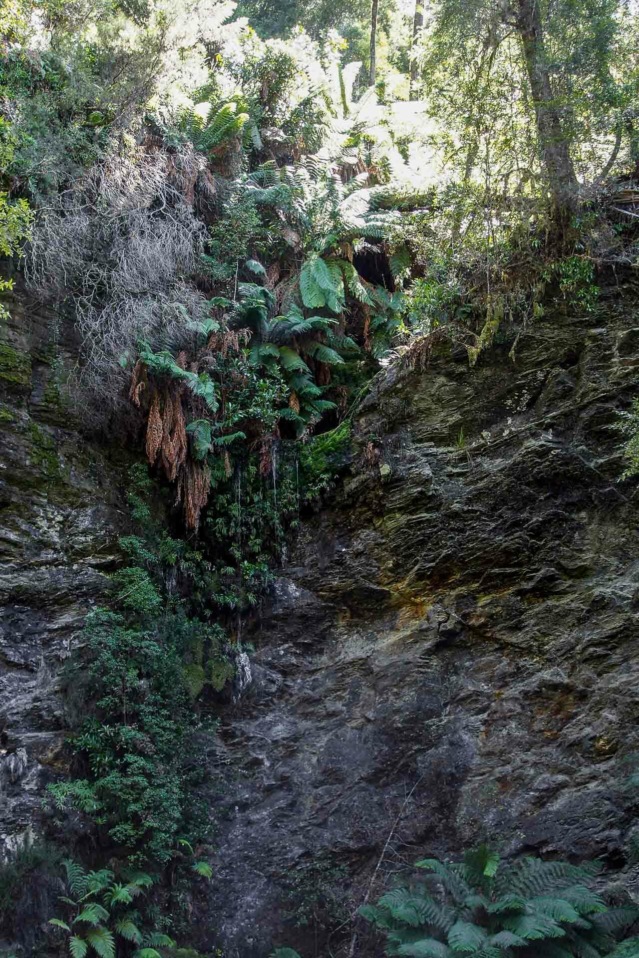 It’s Time to Add Corinna to Your Tassie Itinerary, Taylor dal ponte