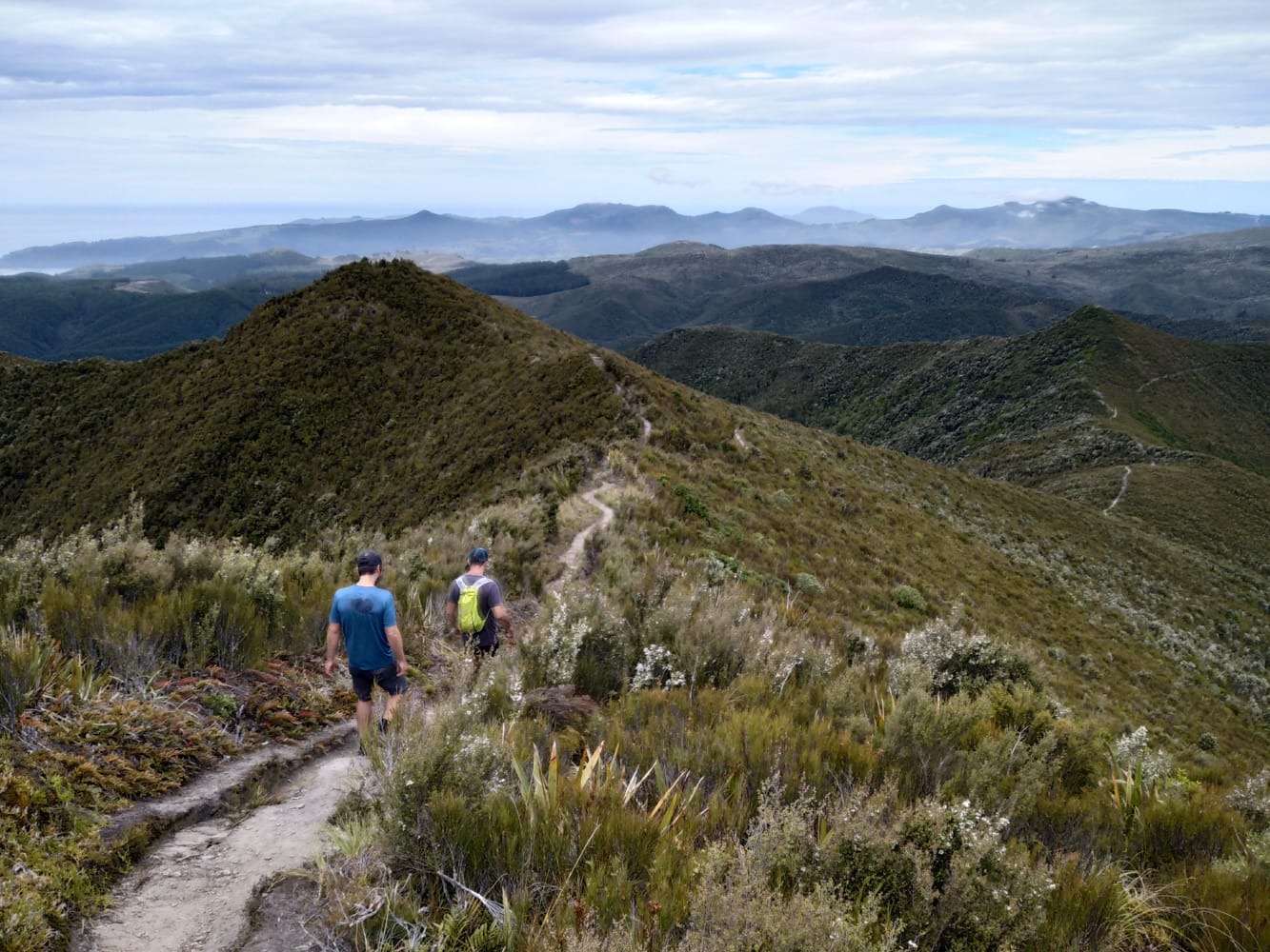 Dunedin is an Unsuspecting Adventure City on NZ’s South Island, Myrthe Braam, people, mountain, hiking
