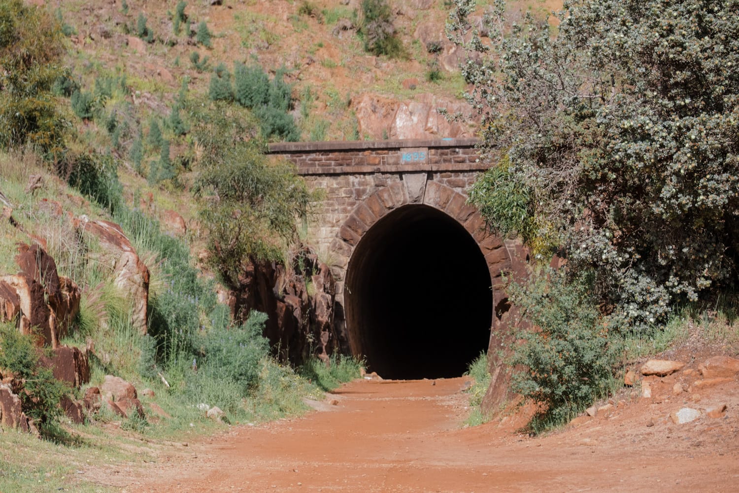 Hikes in the Perth Hills, Kate Gibson, tunnel, bush, track