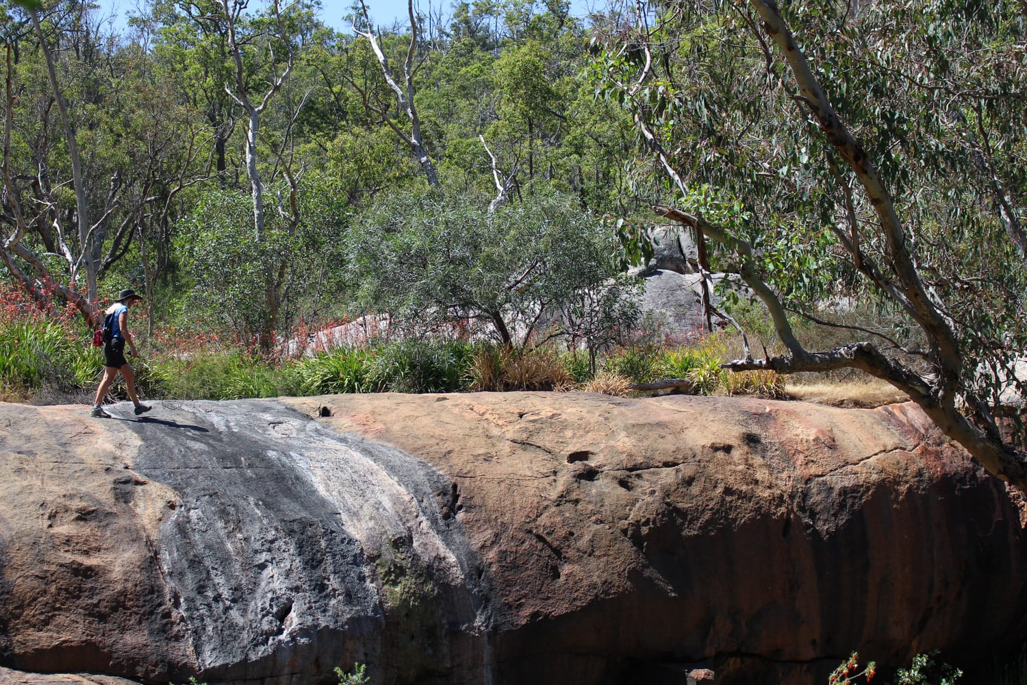 Hikes in the Perth Hills, Kate Gibson