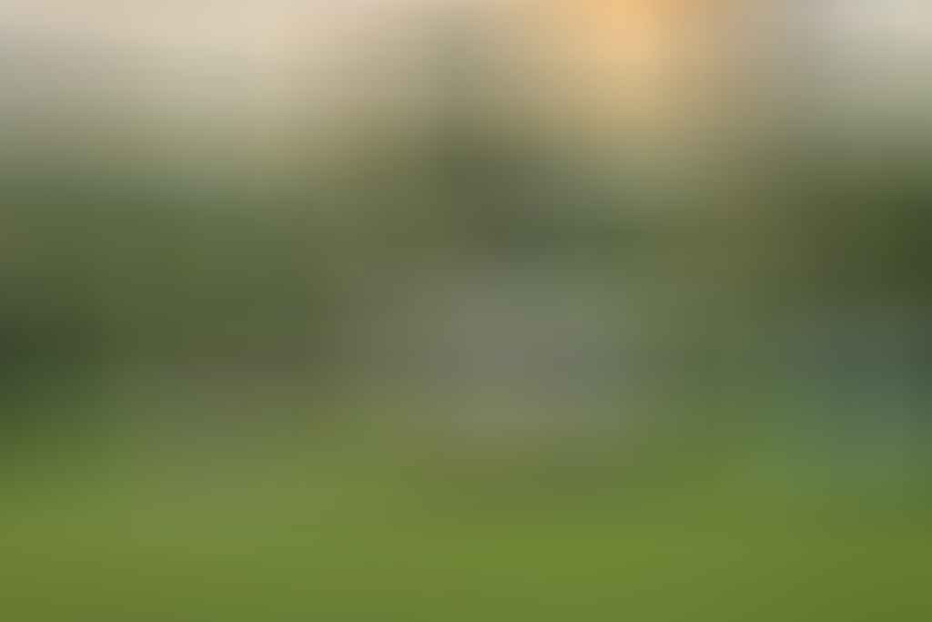 A car parked in a grassy field