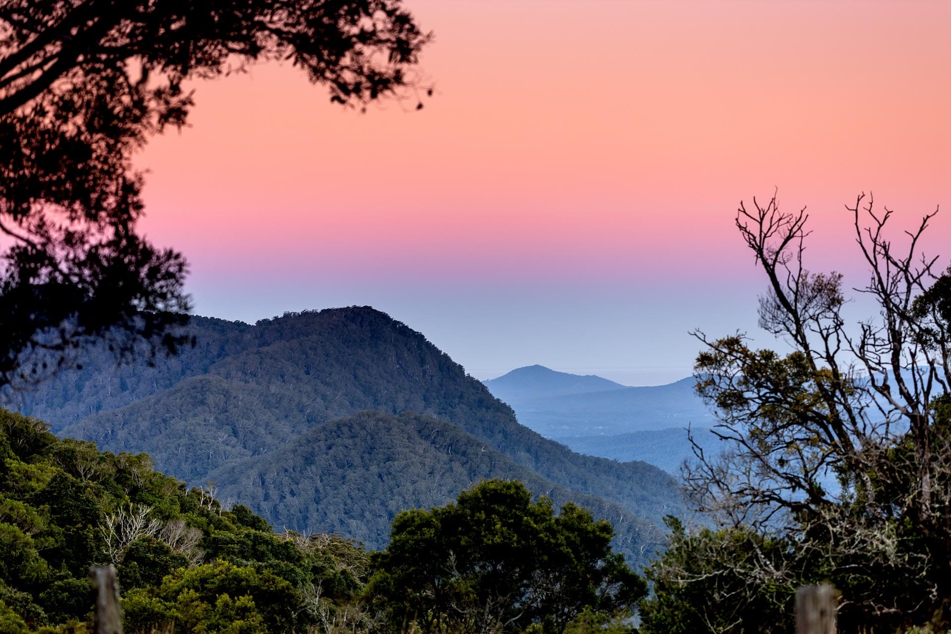 View Dorrigo