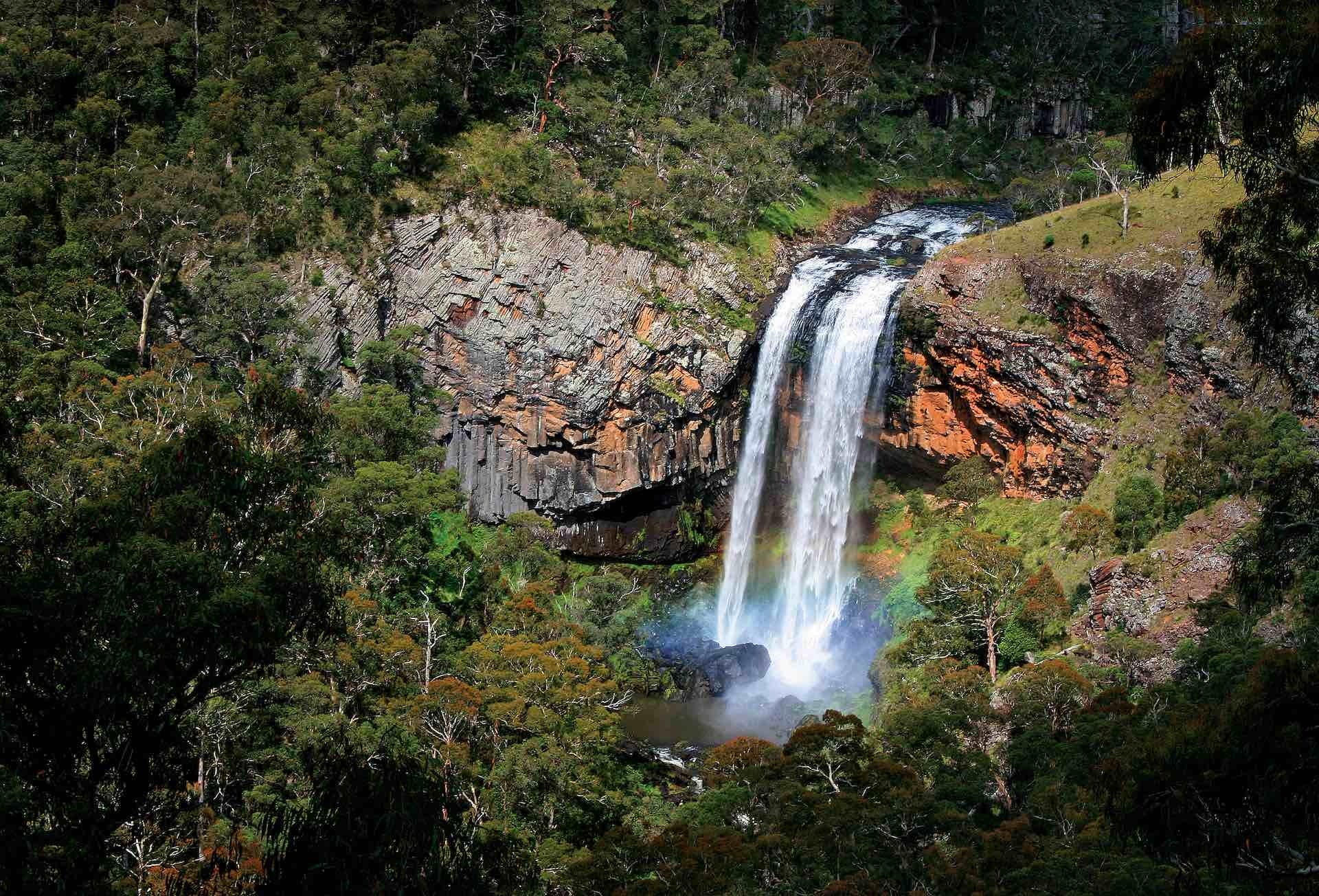 Must-See Stops When Driving Waterfall Way, Anna Wall, ebor falls, waterfall, rainforest, drone view