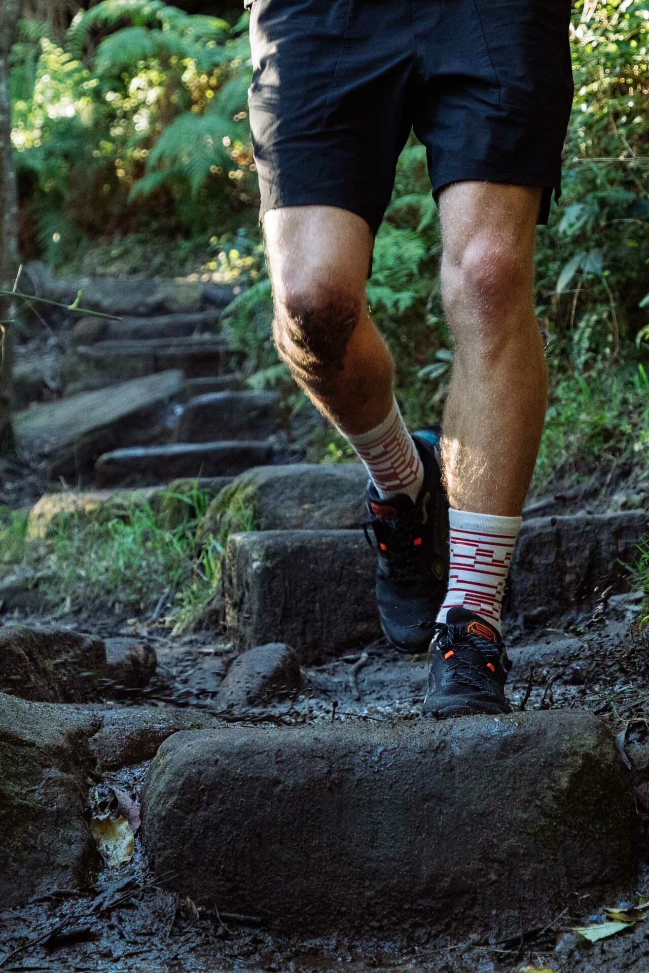 New Balance Fresh Foam Hierro v6 GTX Trail Shoe