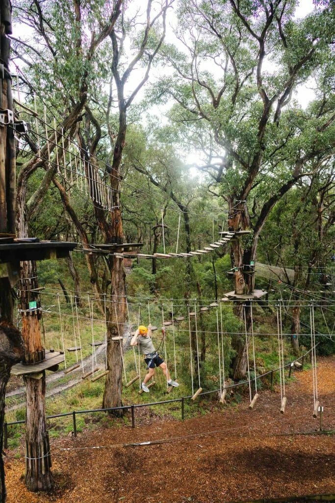 Hots Springs & Hikes – An Explorer's Guide to Mornington Peninsula, Ben Savage, high ropes course, treetops