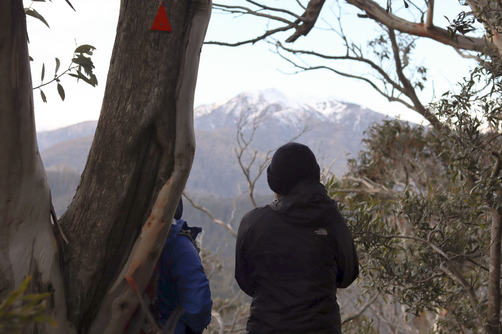 Guide to Mansfield: Experience Victoria's Alpine Foothills From Every Angle, Bronni Bowen, person, mountain, tree