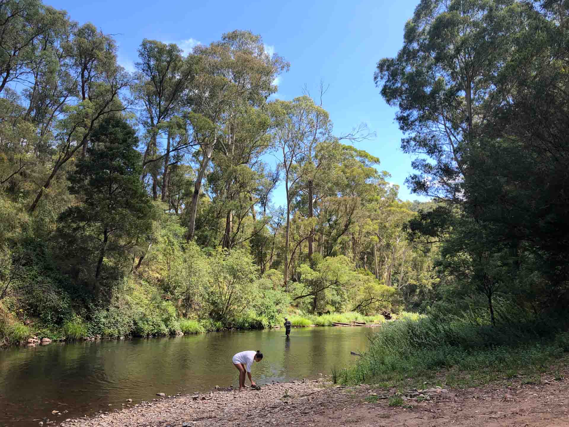 Mansfield Hunting and Fishing, Attraction, High Country, Victoria