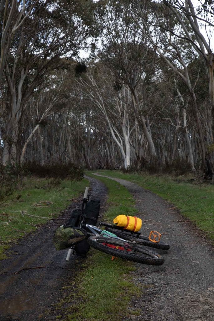 5 Alpine Huts in 2 Days: Bikepacking Long Plain Hut to Hainsworth Hut & Beyond in Kosciuszko National Park, Mattie Gould, trail, bike, trees