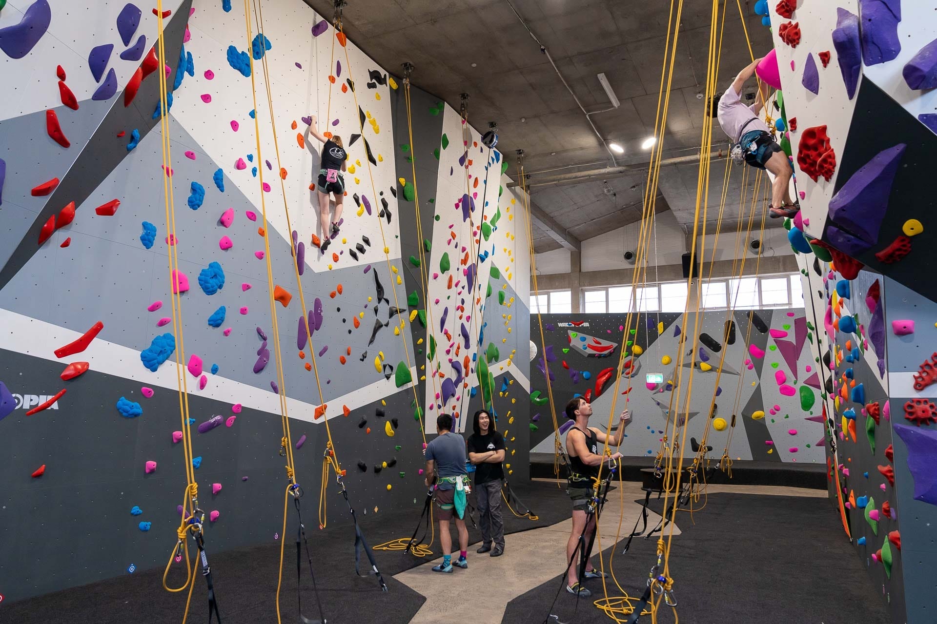 Sydney Has A New Rock Climbing Gym! (After A Two Year Wait), climb fit macquarie, top rope