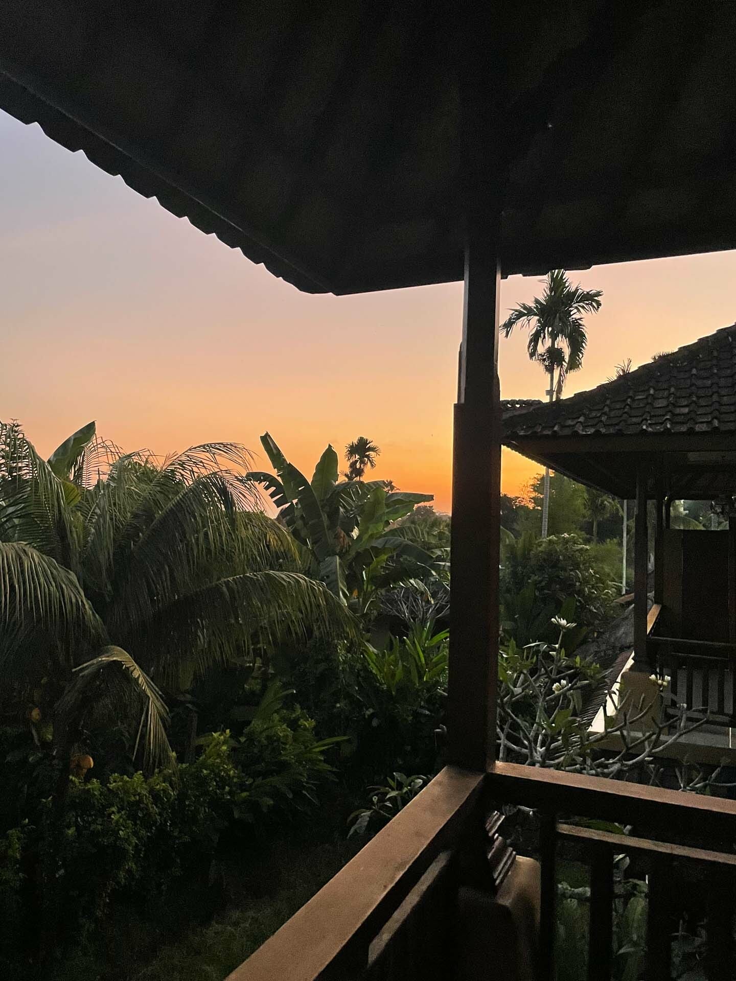 Insomnia – How I Learnt To Deal With This Adventure-Ruiner,Pippa Salmon, sunrise, palms, view