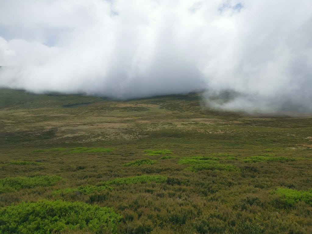 Smoke coming out of it