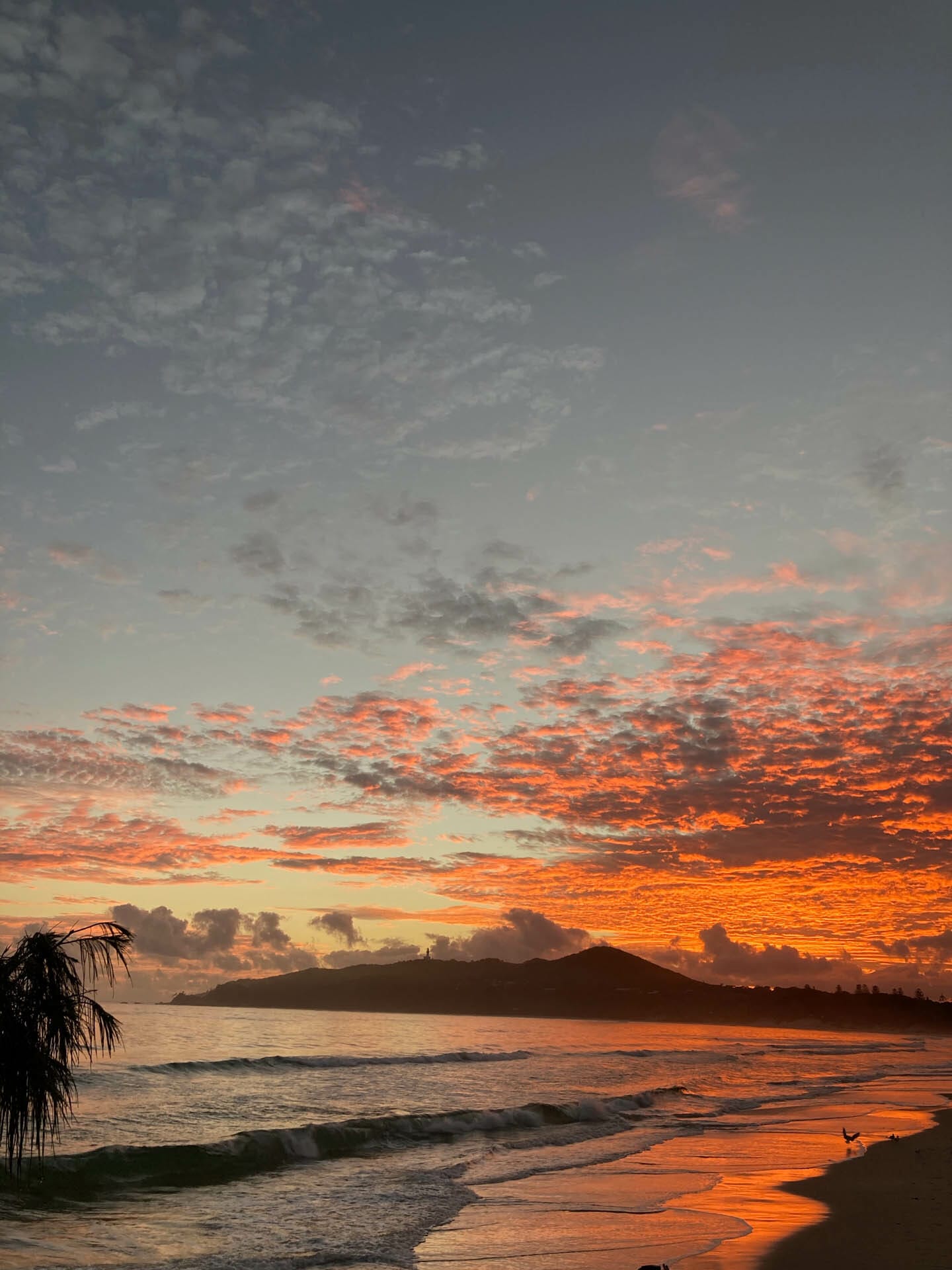 Doof is Food Spelled Backwards, Delila Pema