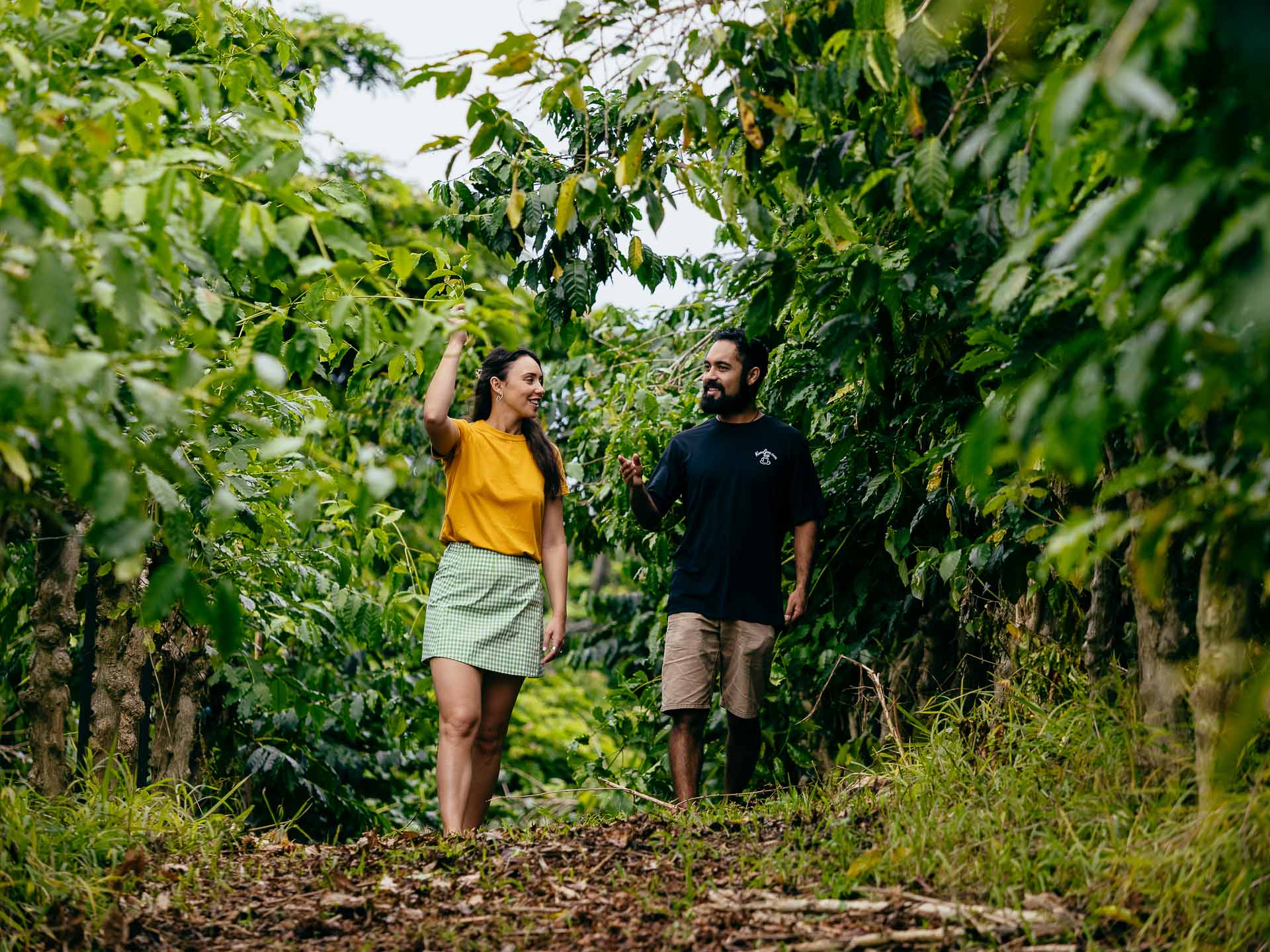 Matt Horspool, tayla gentle, hawaii