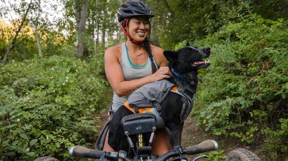 10 Gear Items For Adventure Dogs in 2023