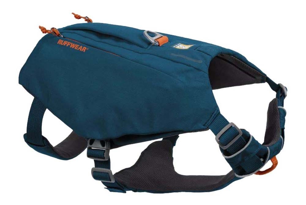 10 Gear Items For Adventure Dogs