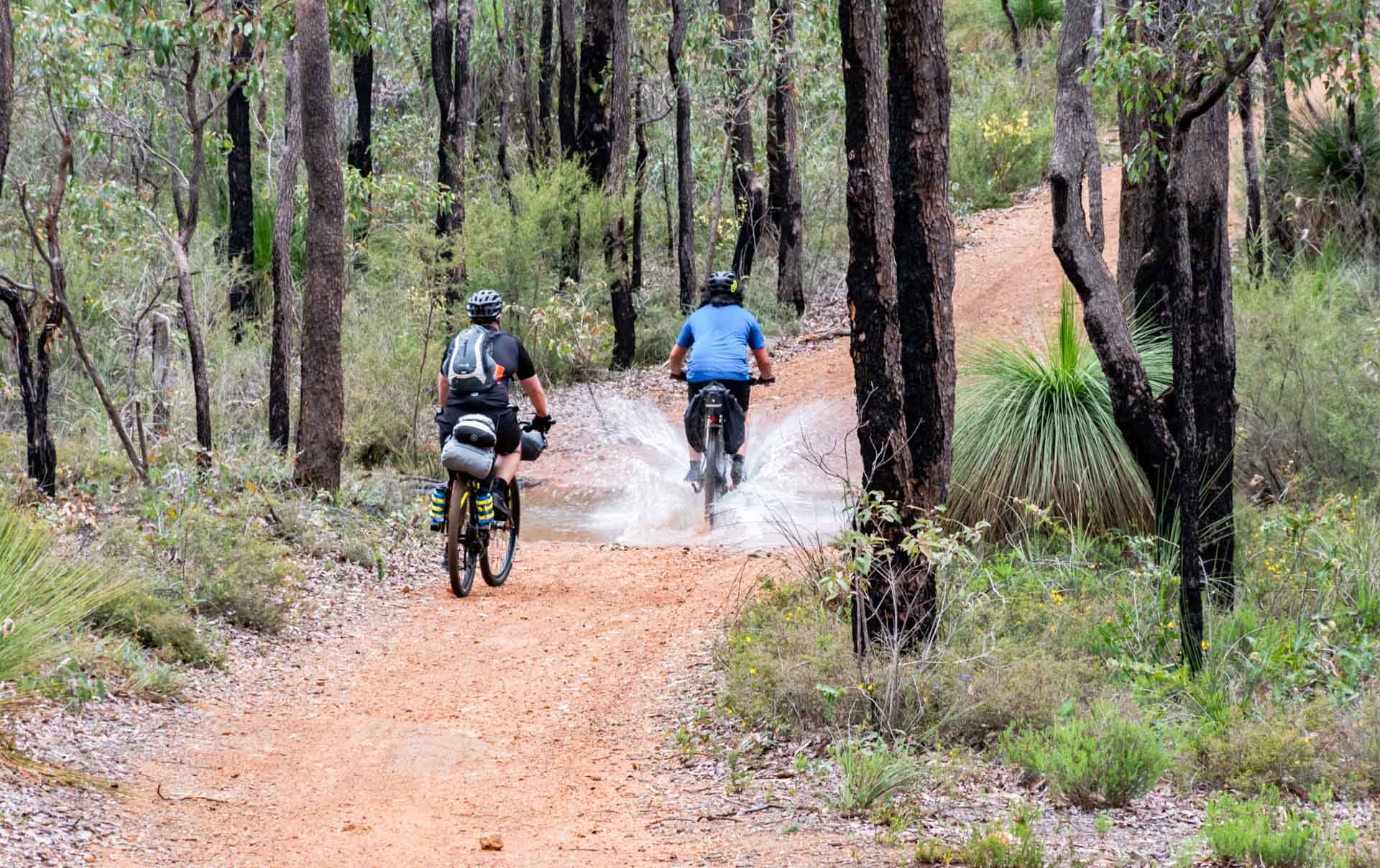 5 Best Mountain Bike Trails Near Perth Worth The Leg Power, Julia D'Orazio, photo credit: Mark Pybus ,The Life of Py