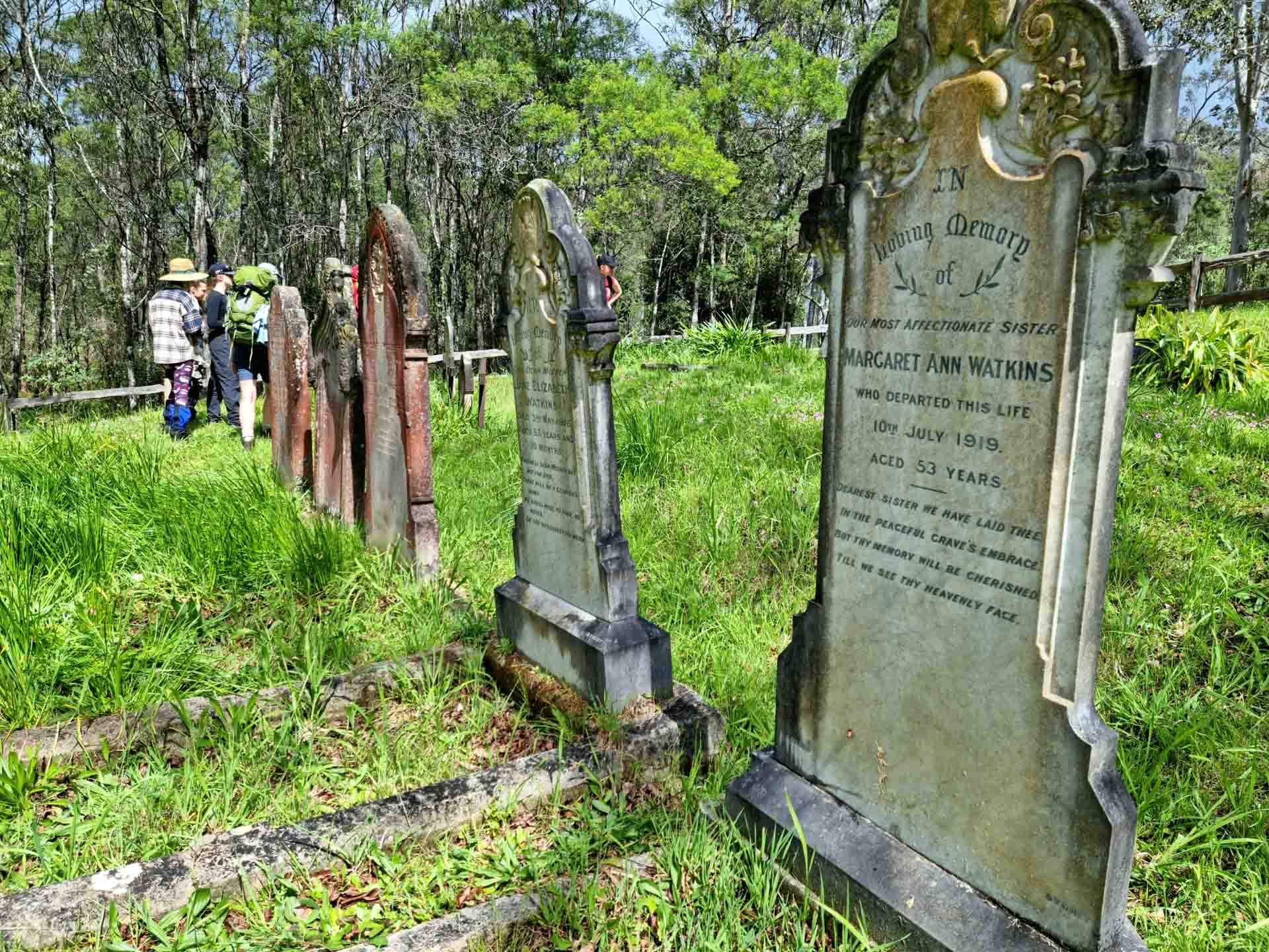 Dubbo Gully Loop: A Guide to This Overnight Hike in Dharug National Park, Emma Abberton