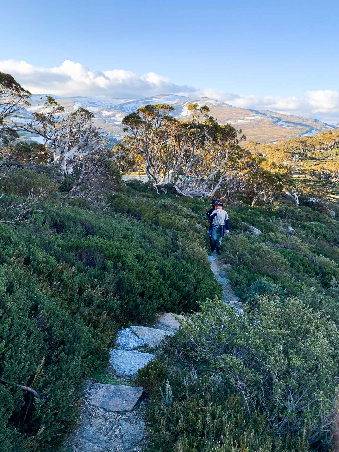 On Walking Tracks in Australia, Tim Macartney-Snape, path, bush, hiker