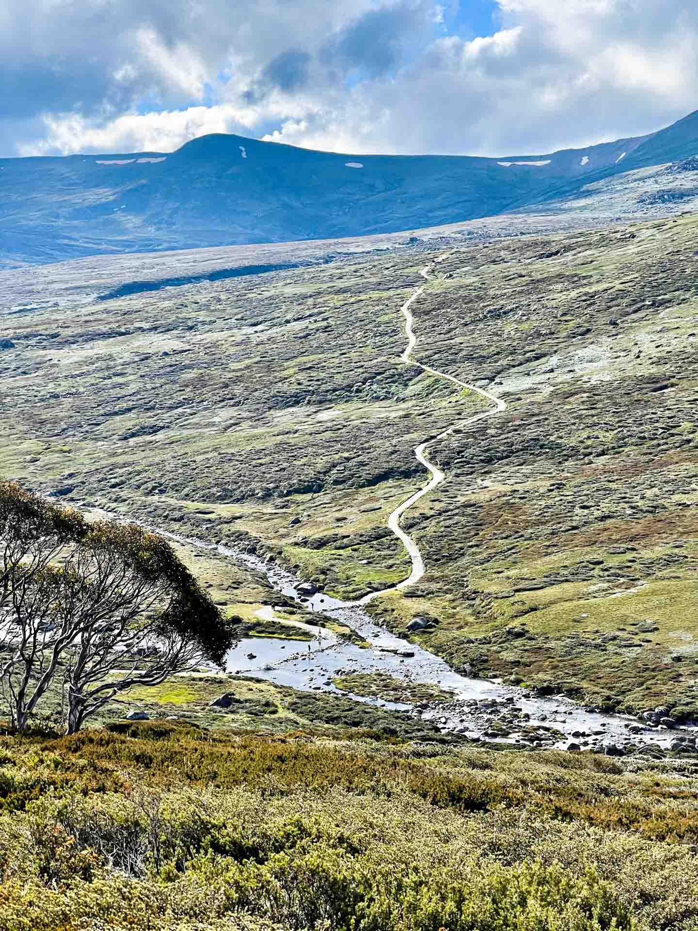 On Walking Tracks in Australia, Tim Macartney-Snape, mountain, river, snowy