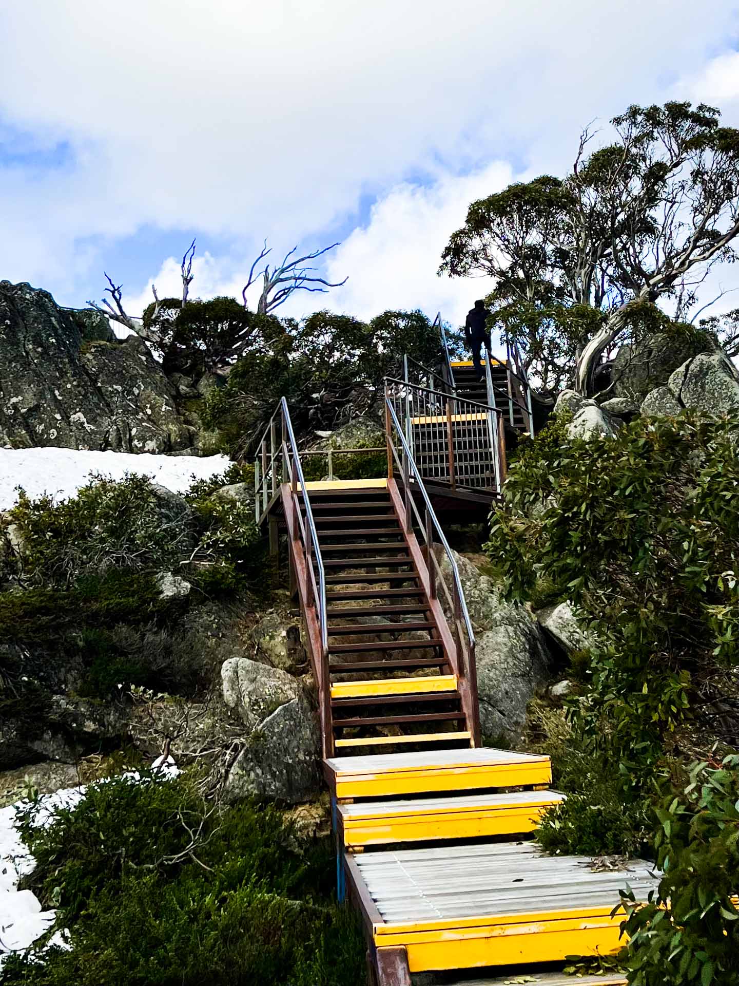 On Walking Tracks in Australia, Tim Macartney-Snape, snow, stairs, hike