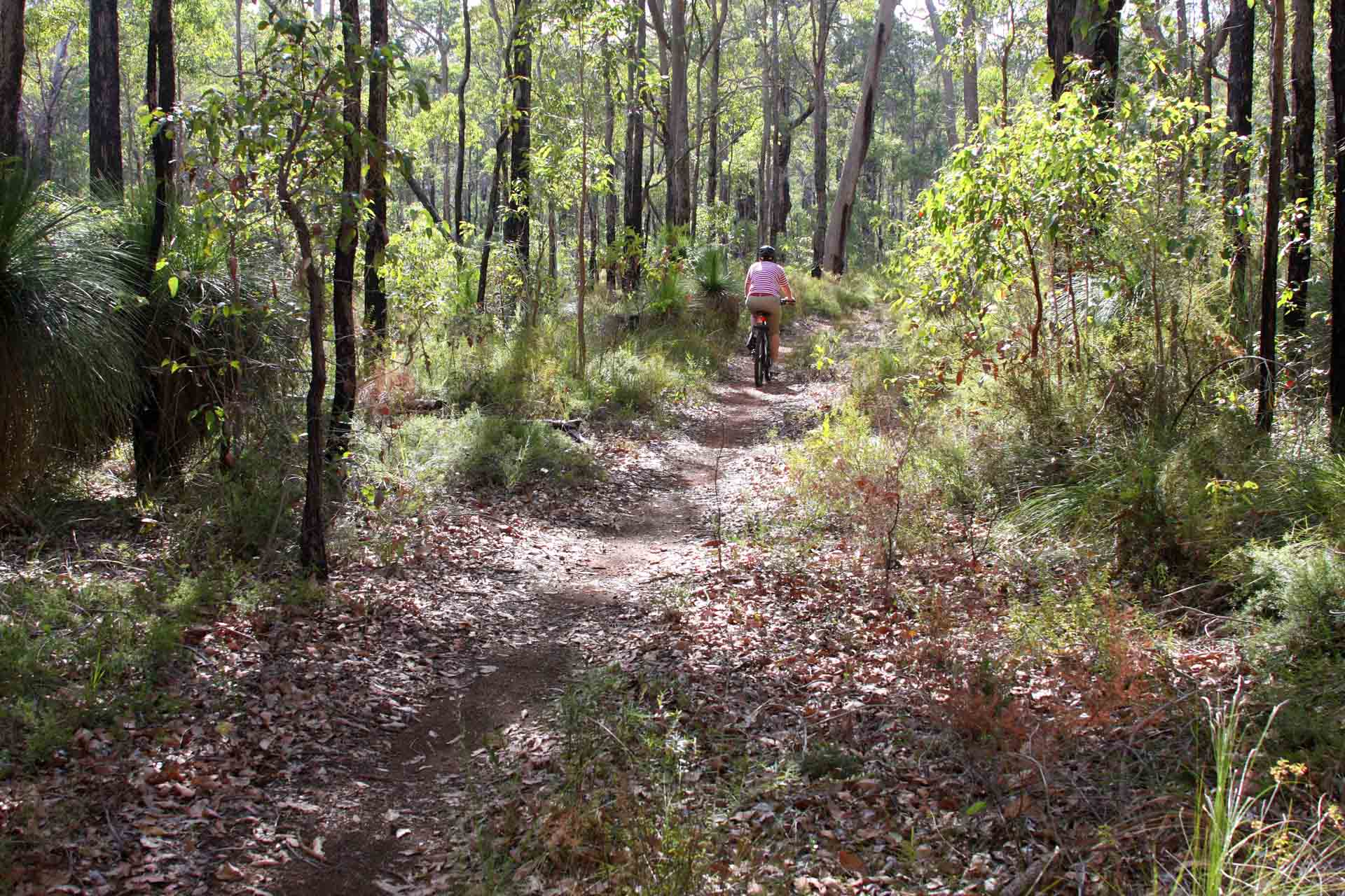 Collie: A Guide to Visiting South West WA’s Coal Town Turned Adventure Hub, Jane Pelusey, mtb trail, person, bush