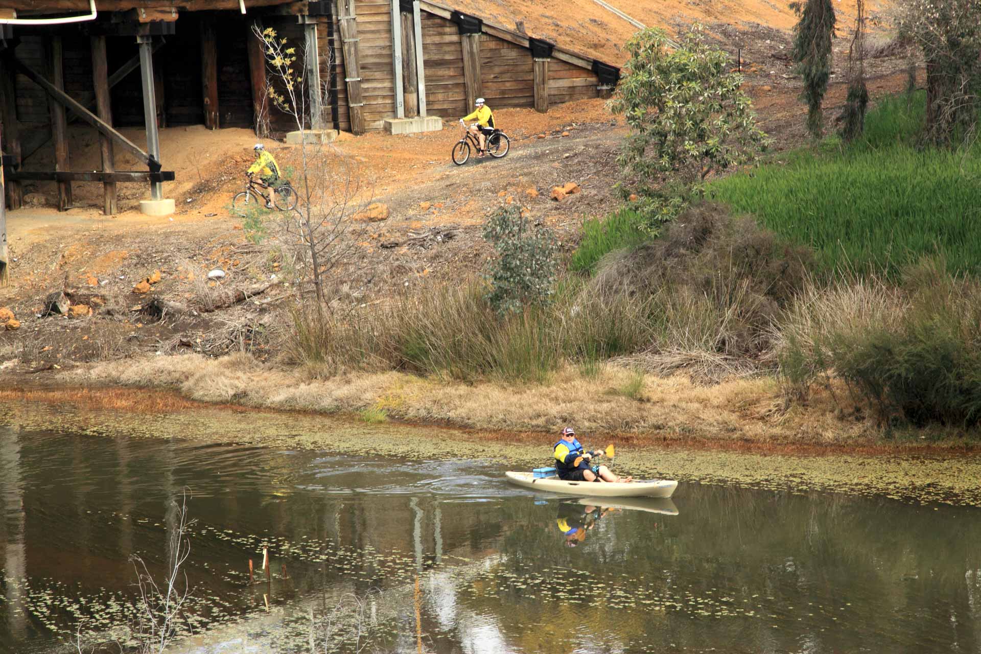 Collie: A Guide to Visiting South West WA’s Coal Town Turned Adventure Hub, Jane Pelusey