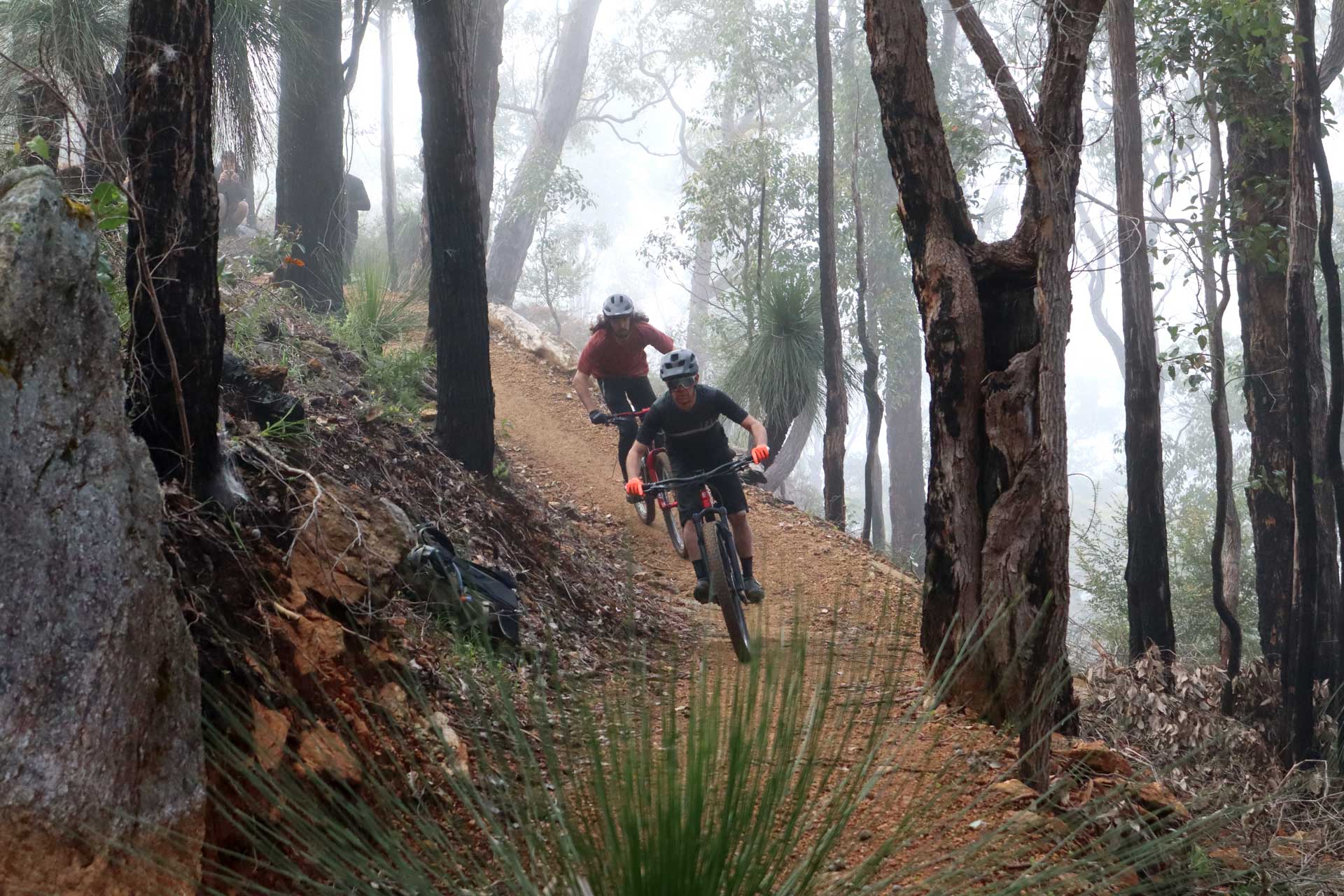 Collie: A Guide to Visiting South West WA’s Coal Town Turned Adventure Hub, Jane Pelusey