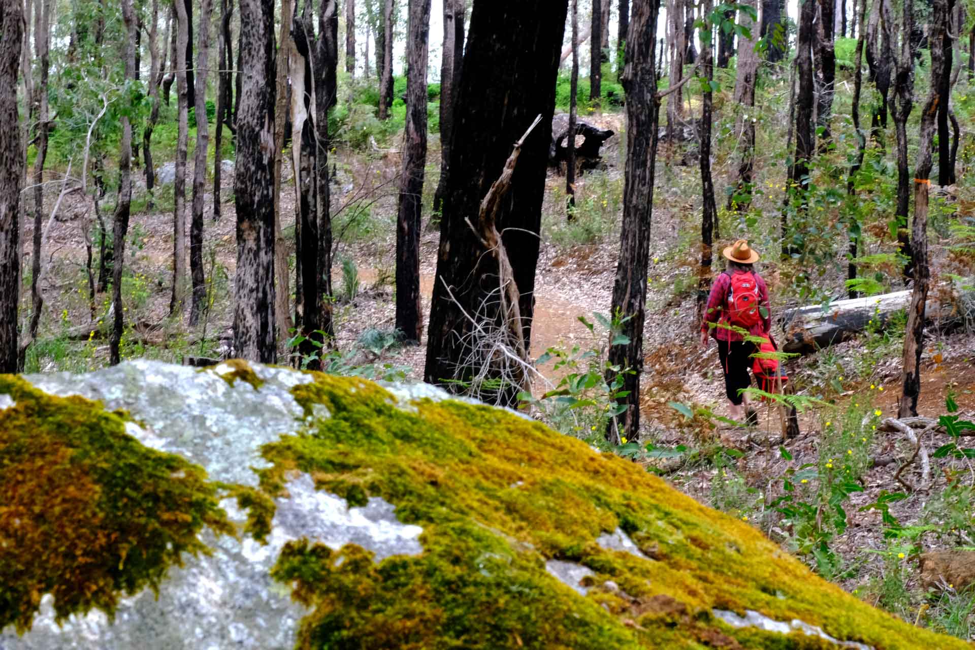 Collie: A Guide to Visiting South West WA’s Coal Town Turned Adventure Hub, Jane Pelusey