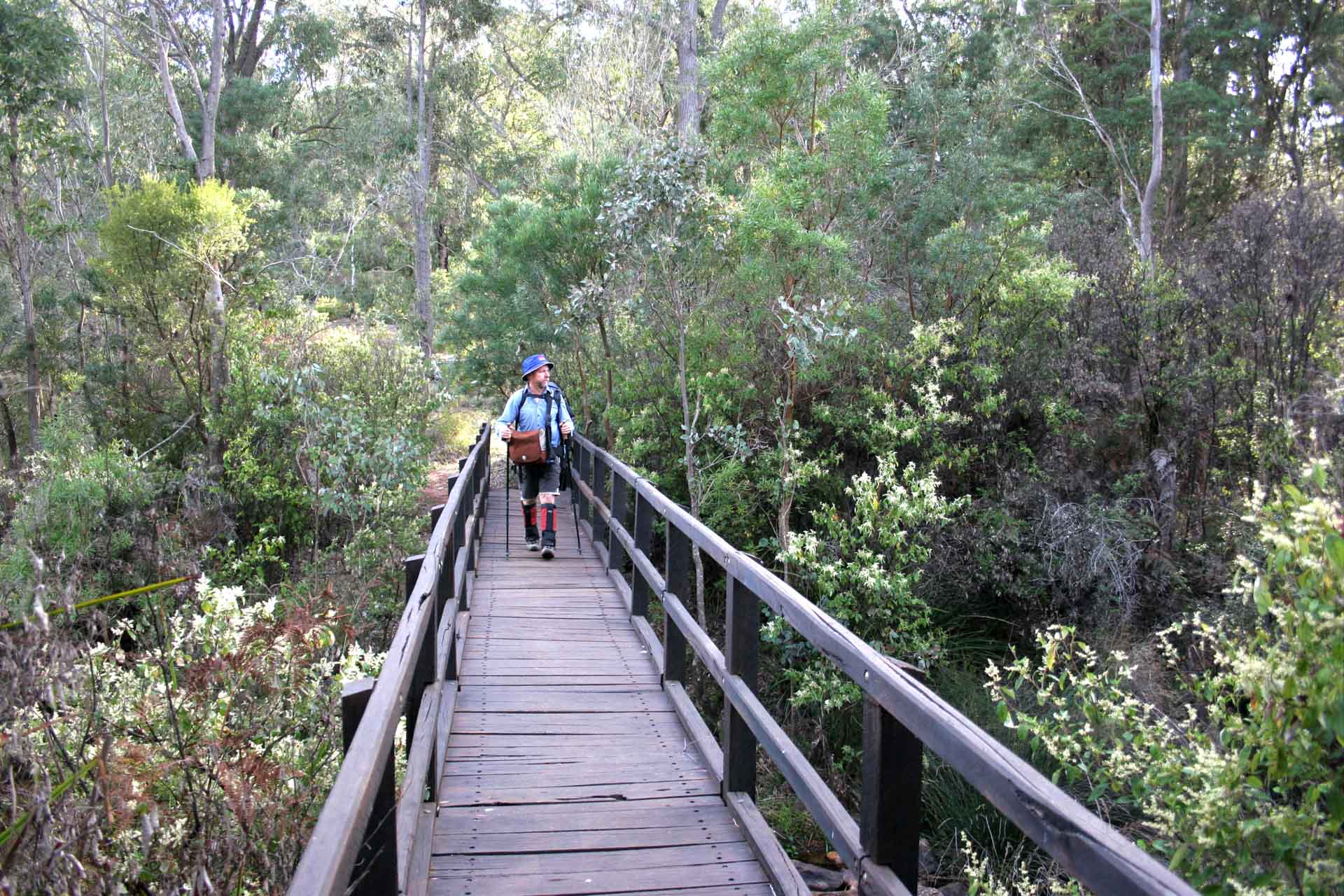 Collie: A Guide to Visiting South West WA’s Coal Town Turned Adventure Hub, Jane Pelusey
