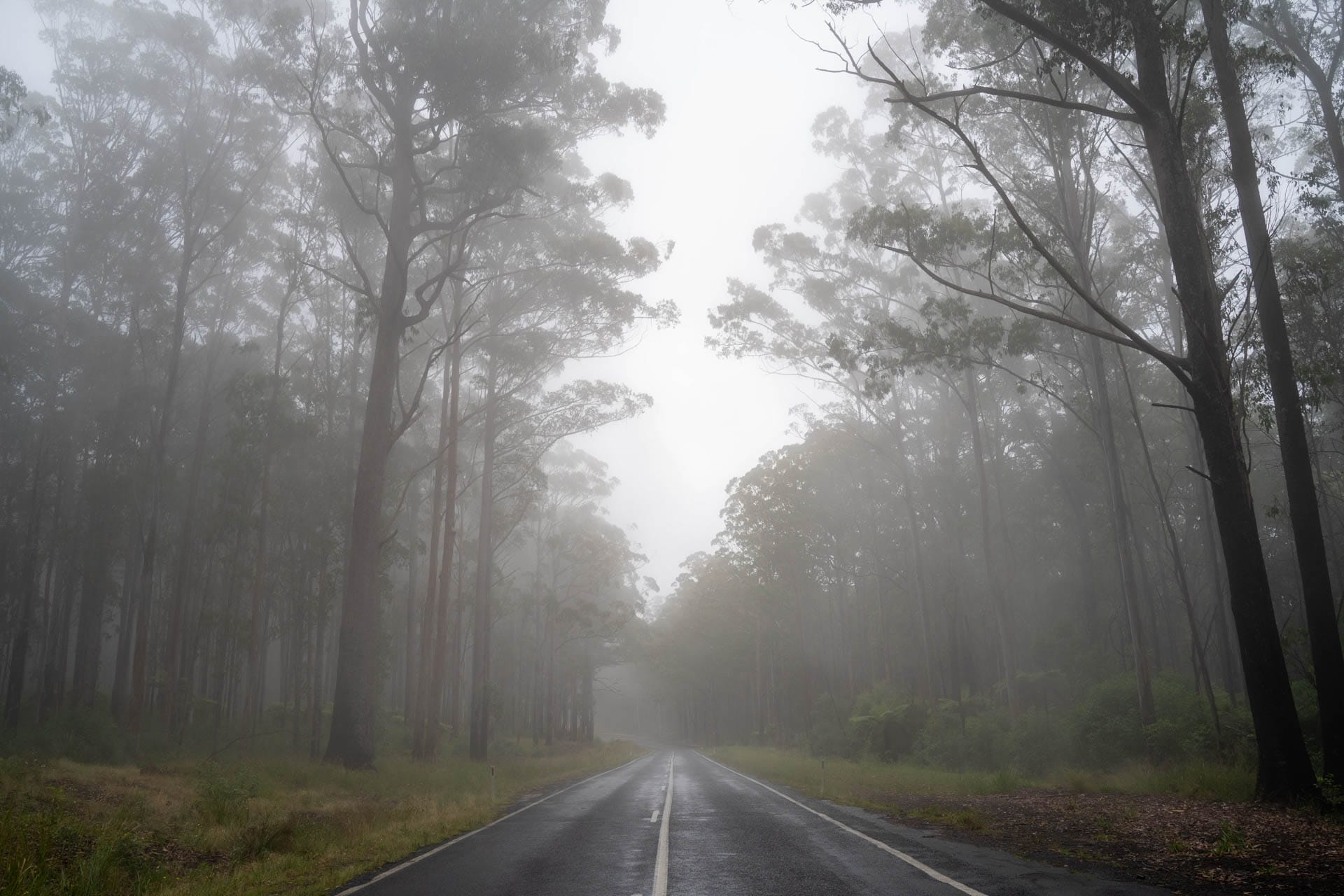 New England High Country’s Best Road Trips