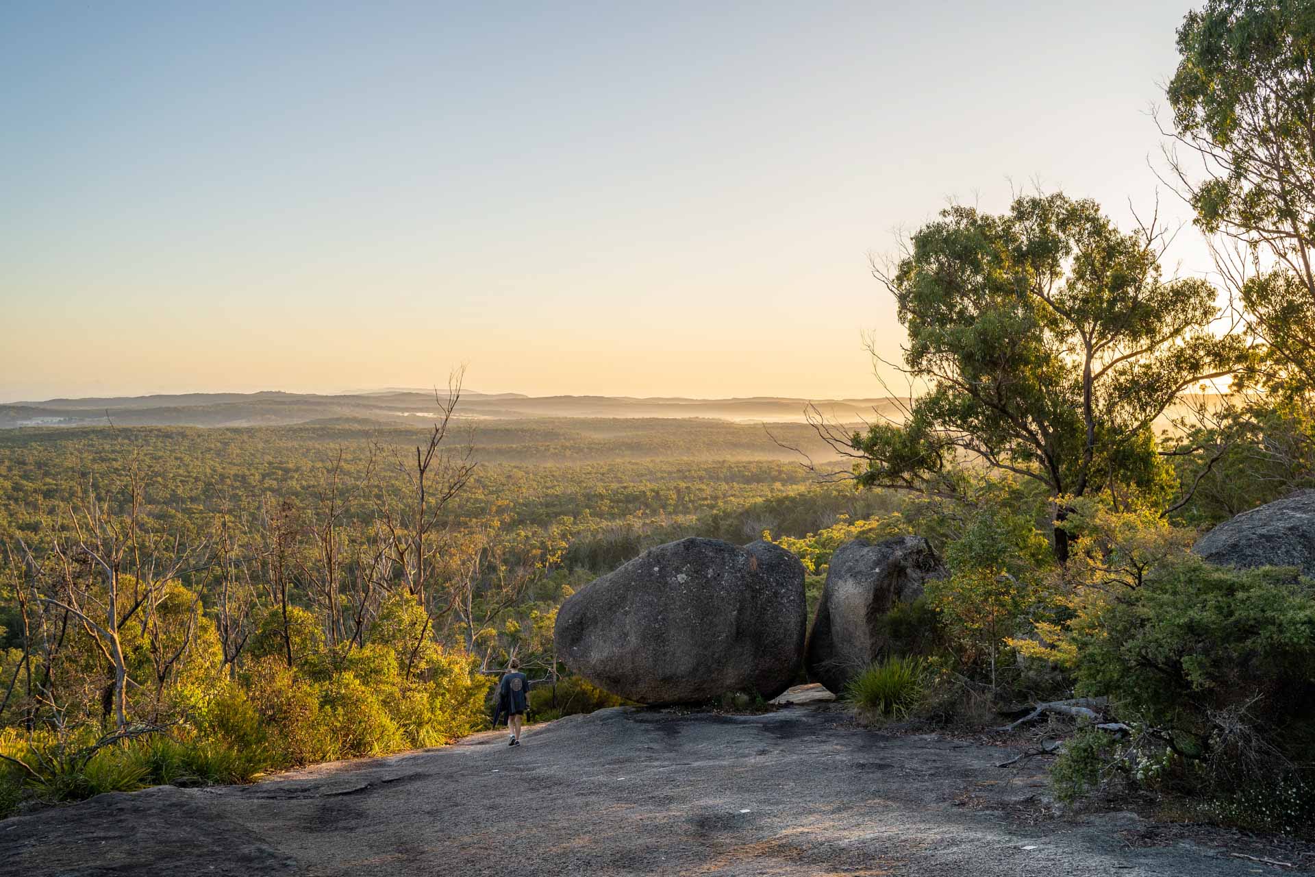 ARM002 Natural Wonders: A Guide to New England’s Best National Parks, Constance Allen, bald rock view