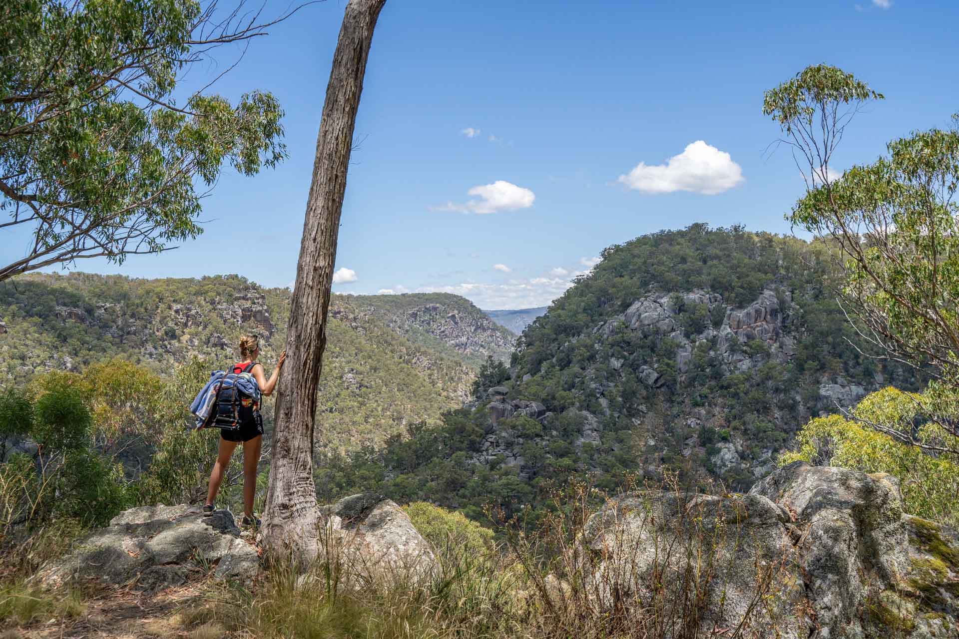 ARM002 Natural Wonders: A Guide to New England’s Best National Parks, Constance Allen, person standing at top of Gara Gorge, oxley wild rivers national park