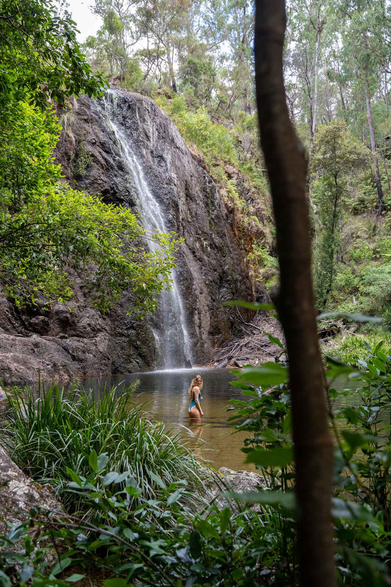 ARM002 Natural Wonders: A Guide to New England’s Best National Parks, Constance Allen