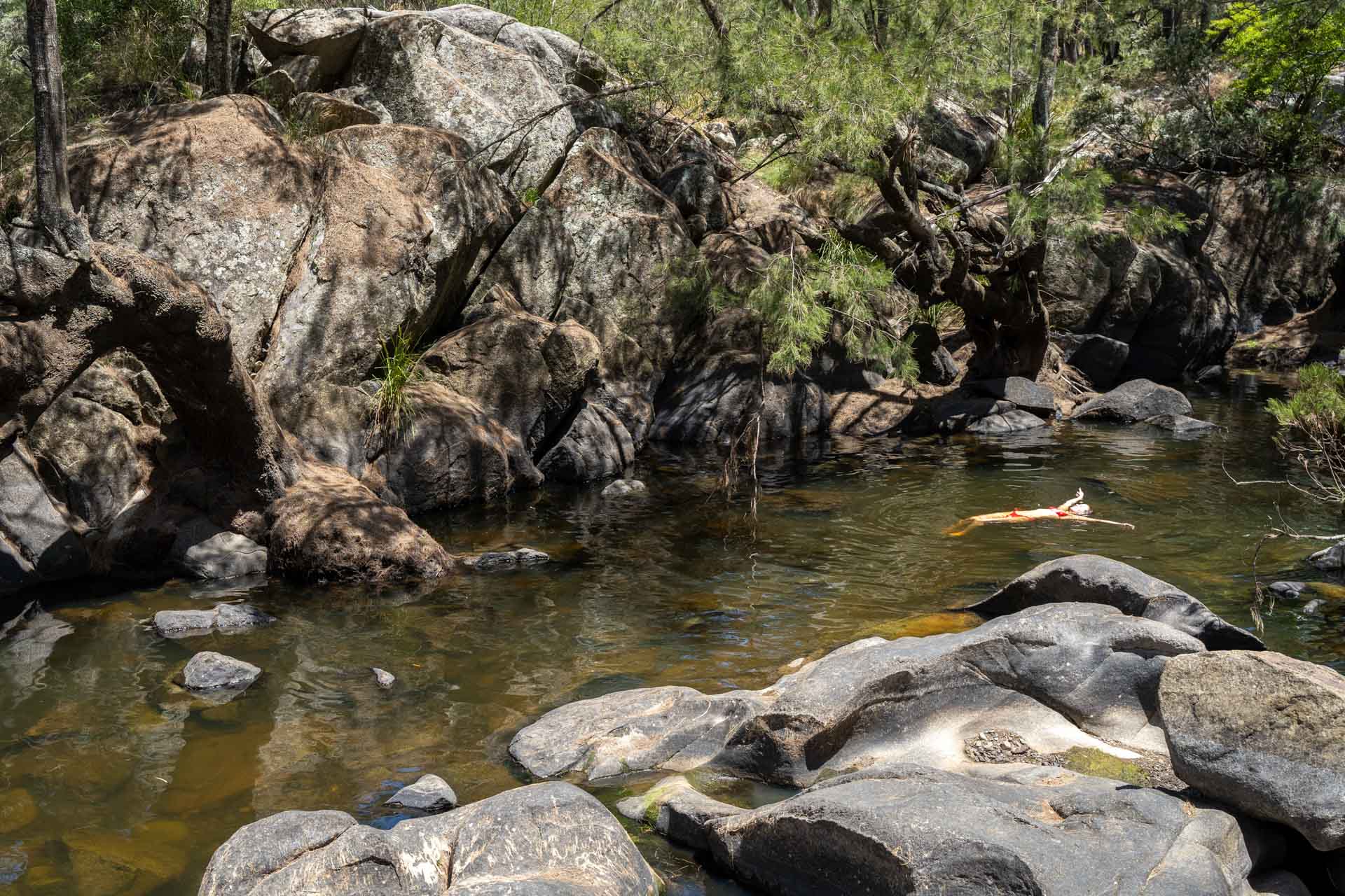 ARM002 Natural Wonders: A Guide to New England’s Best National Parks, Constance Allen