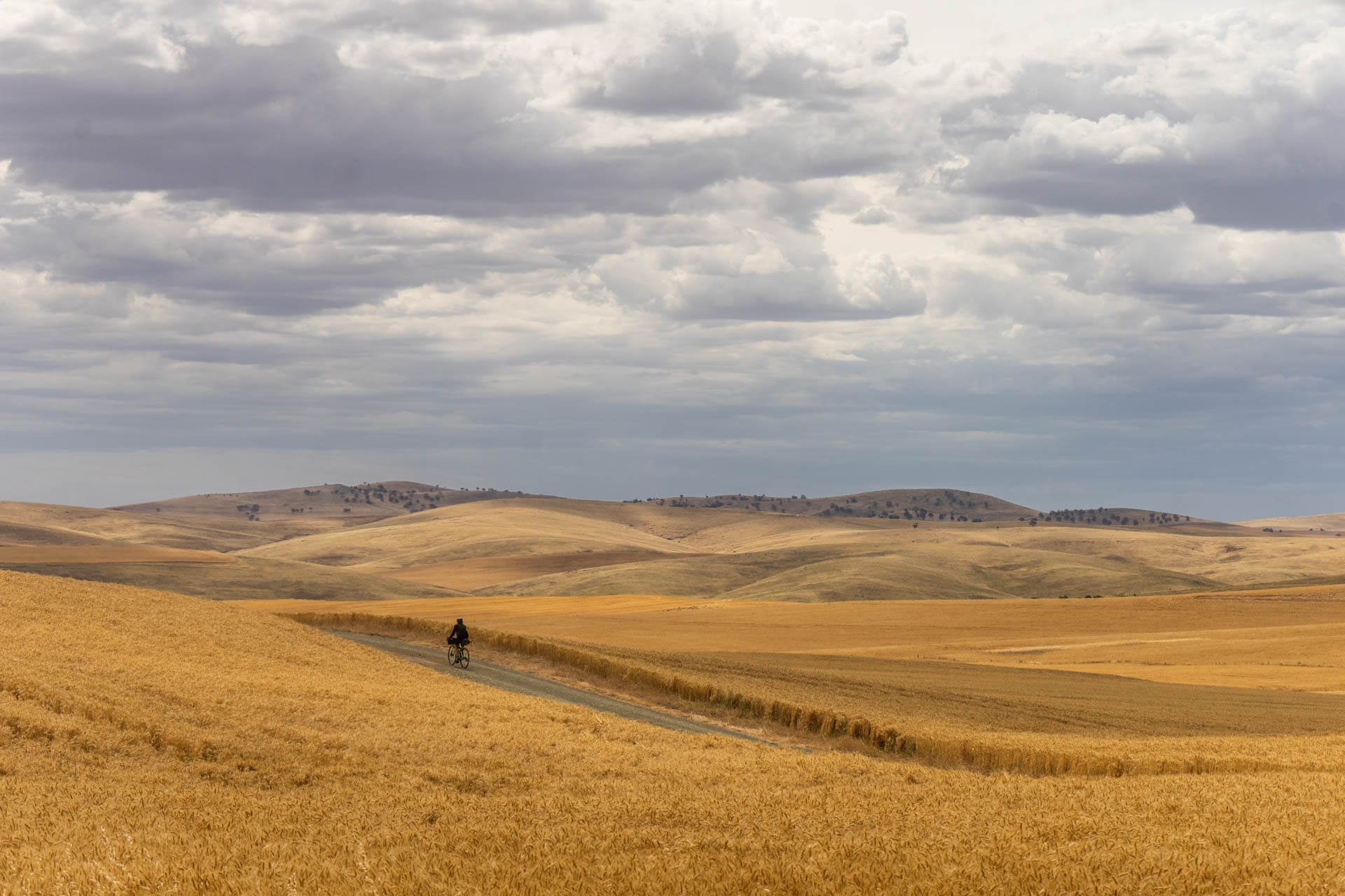 The Mawson Trail – Ride This Iconic Route From Adelaide to the Flinders Ranges, Lachie Thomas, person riding a bike, south australia, rolling hills