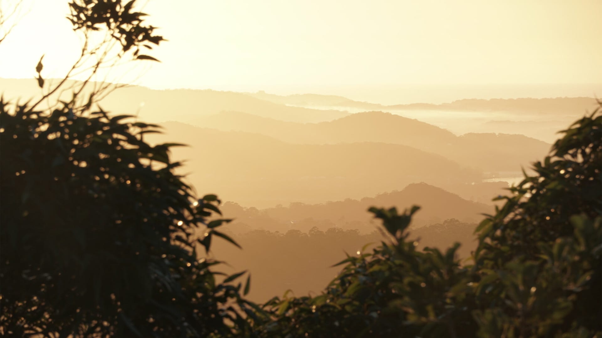 Sydney adventure within reach - Mt Wondabyne loop via Little Wobby, Brandon Decosterd