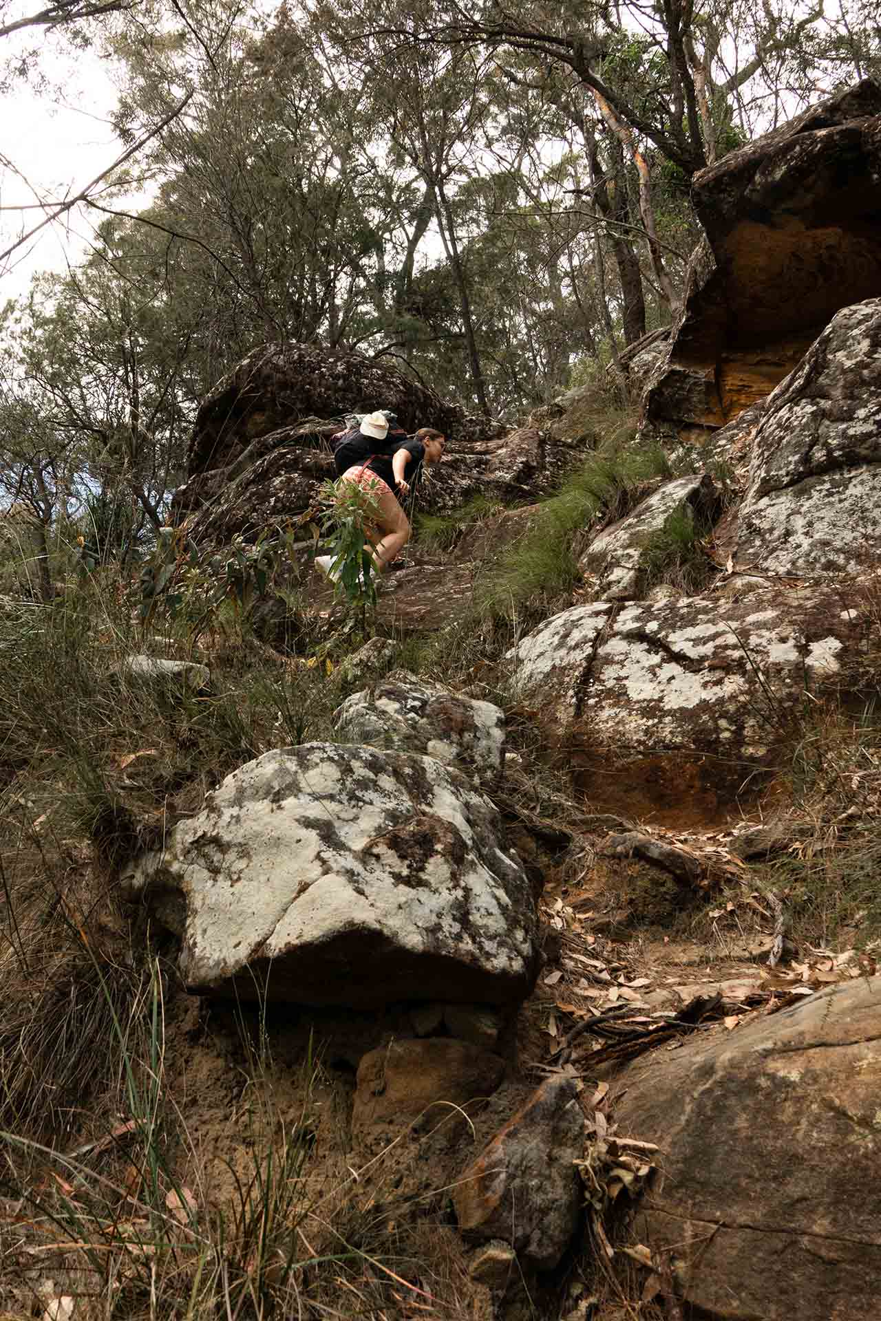 Sydney adventure within reach - Mt Wondabyne loop via Little Wobby, Brandon Decosterd