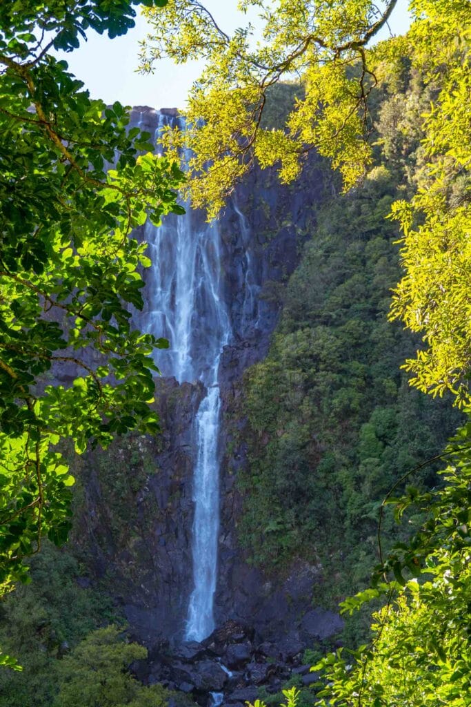 Wairere Falls is NZ North Island's Tallest Waterfall - We Are Explorers