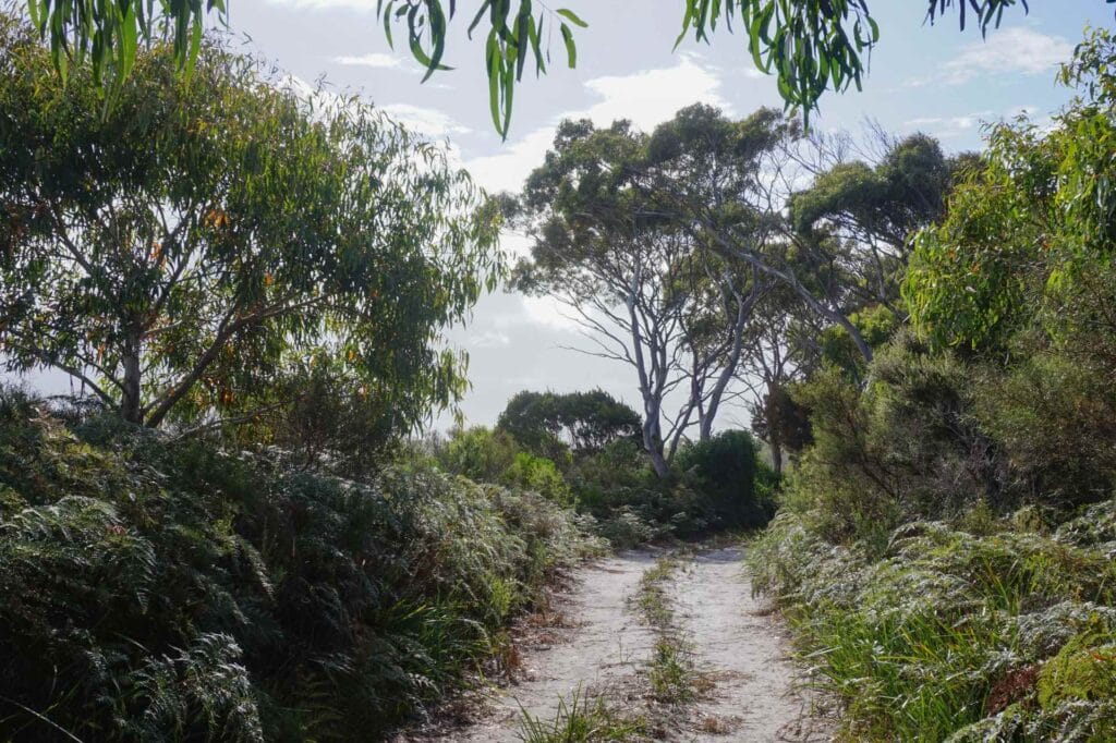 tourist attractions east coast tasmania