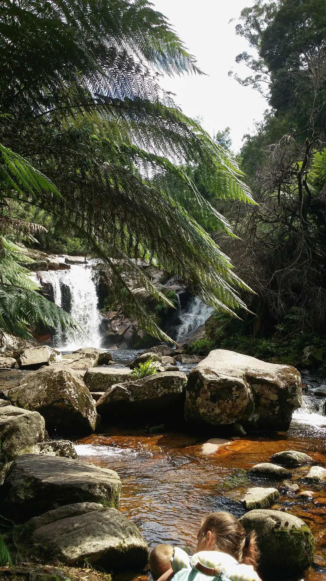 tourist attractions east coast tasmania